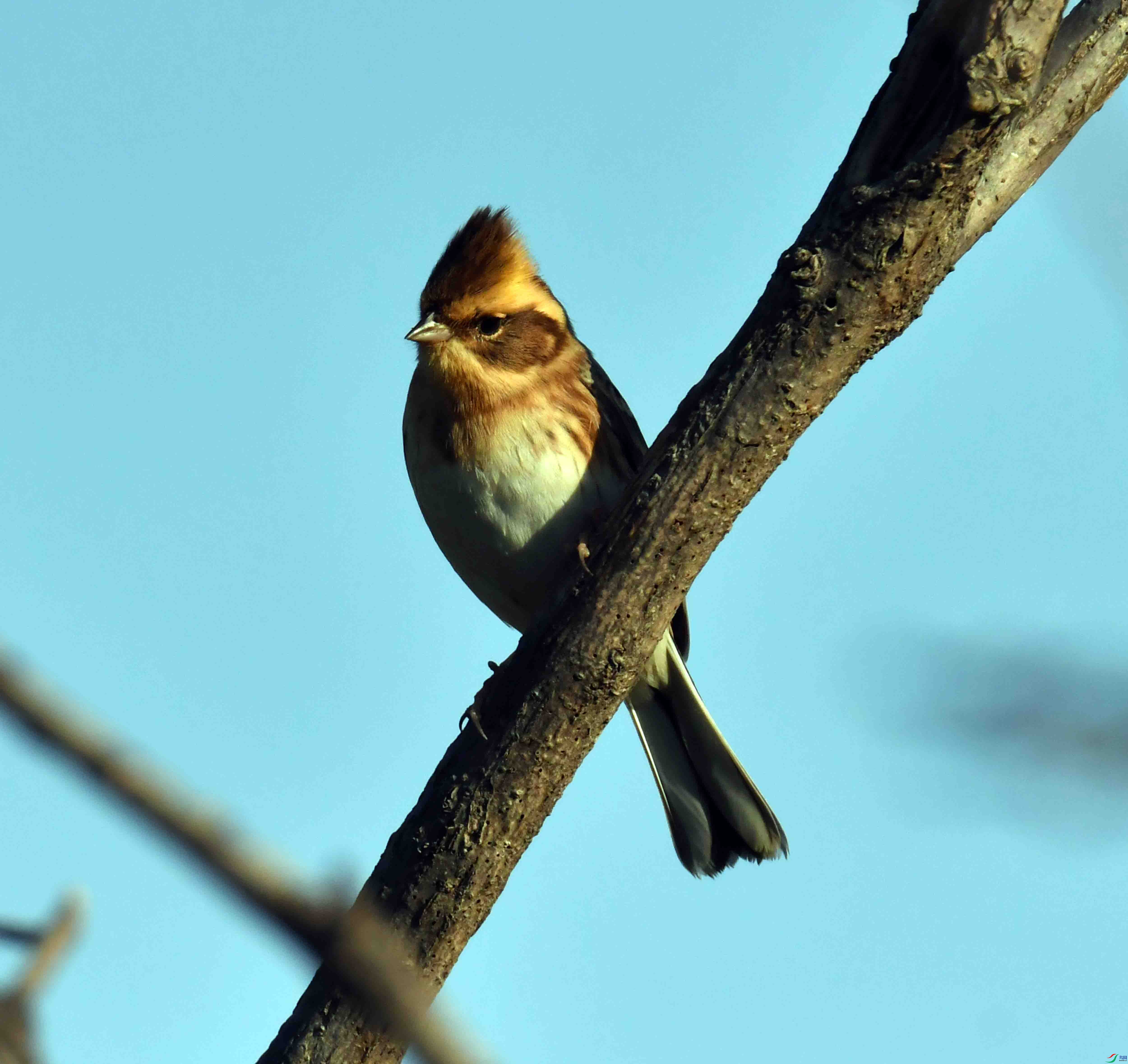 DSC_3885.JPG