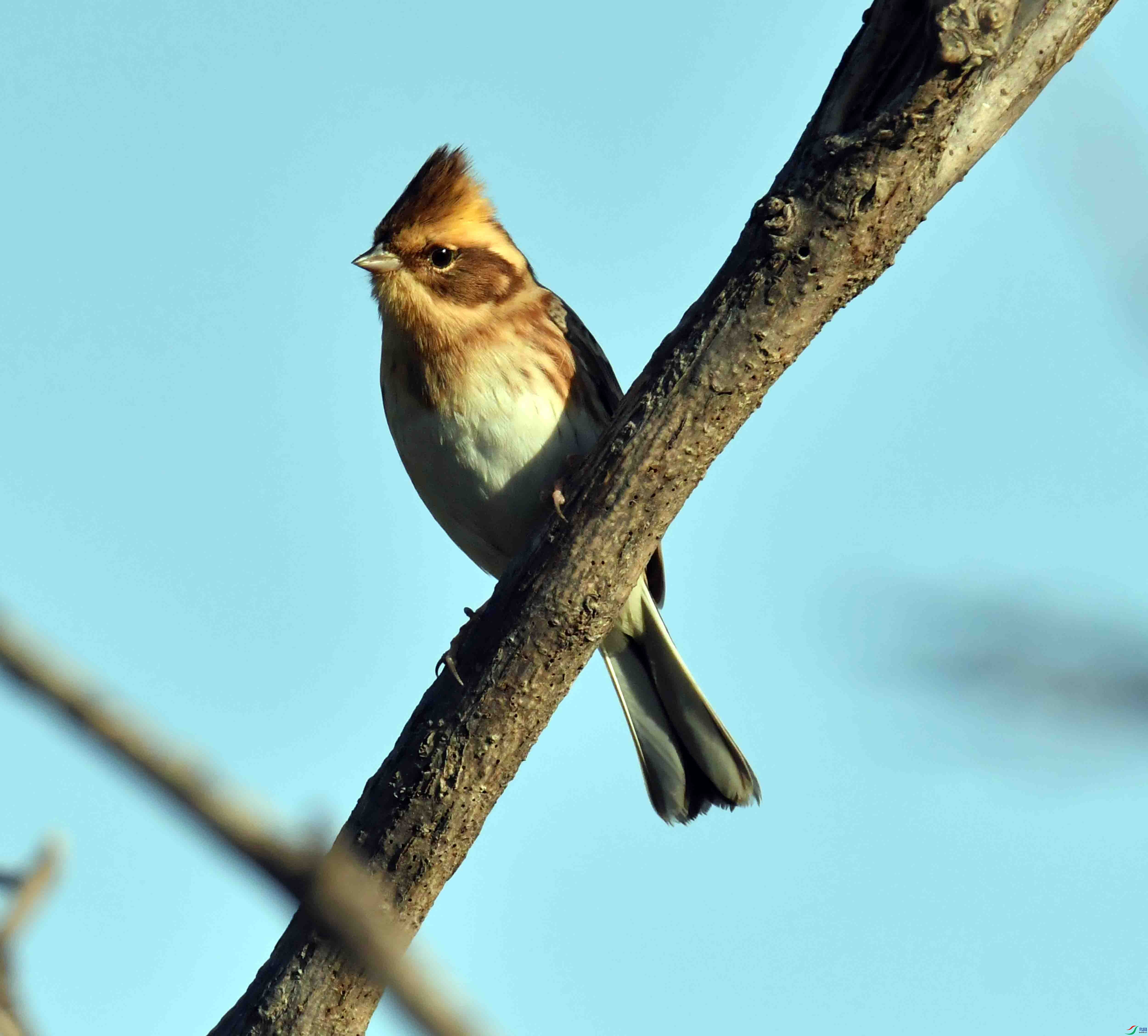 DSC_3884.JPG