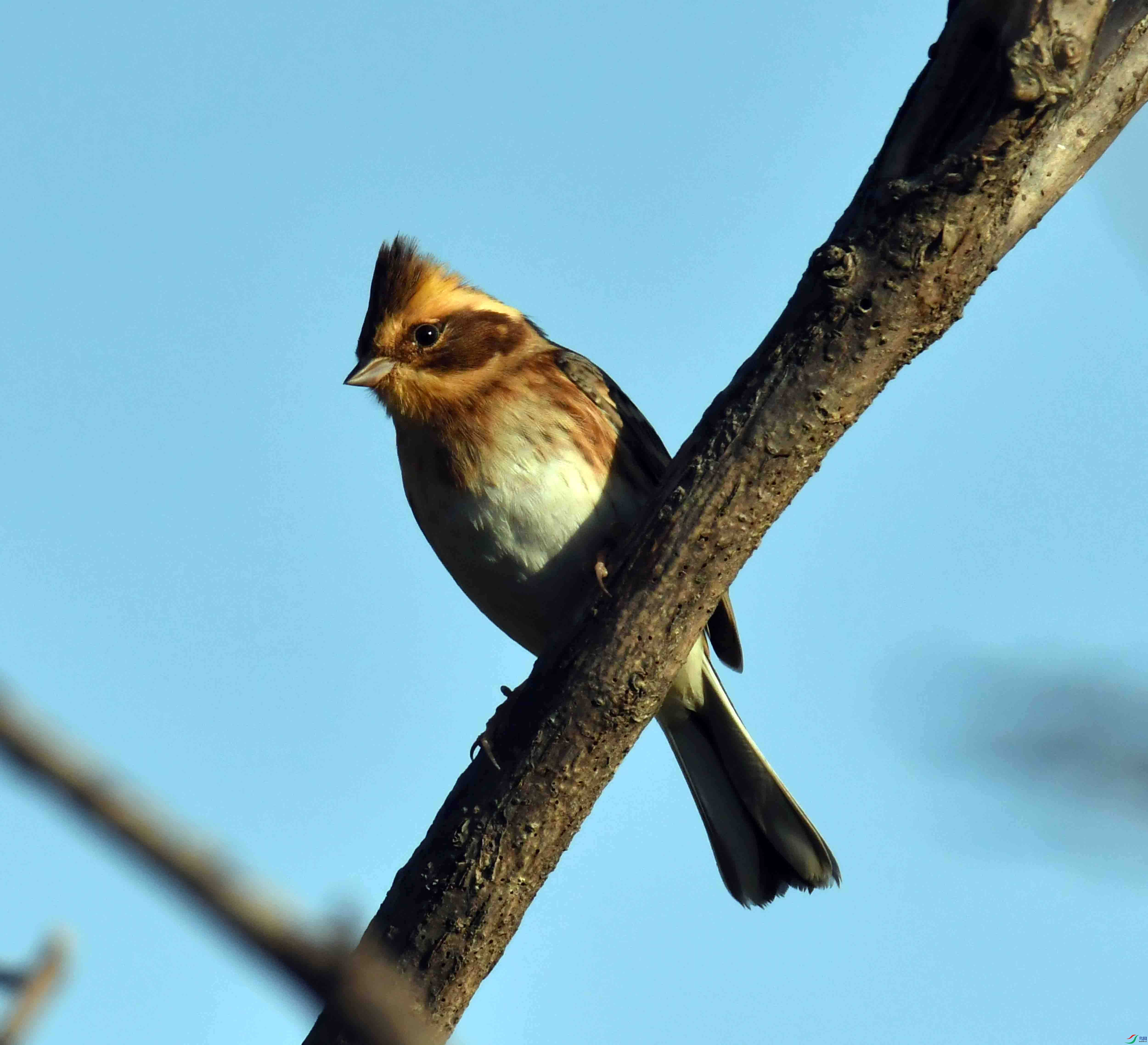 DSC_3889.JPG