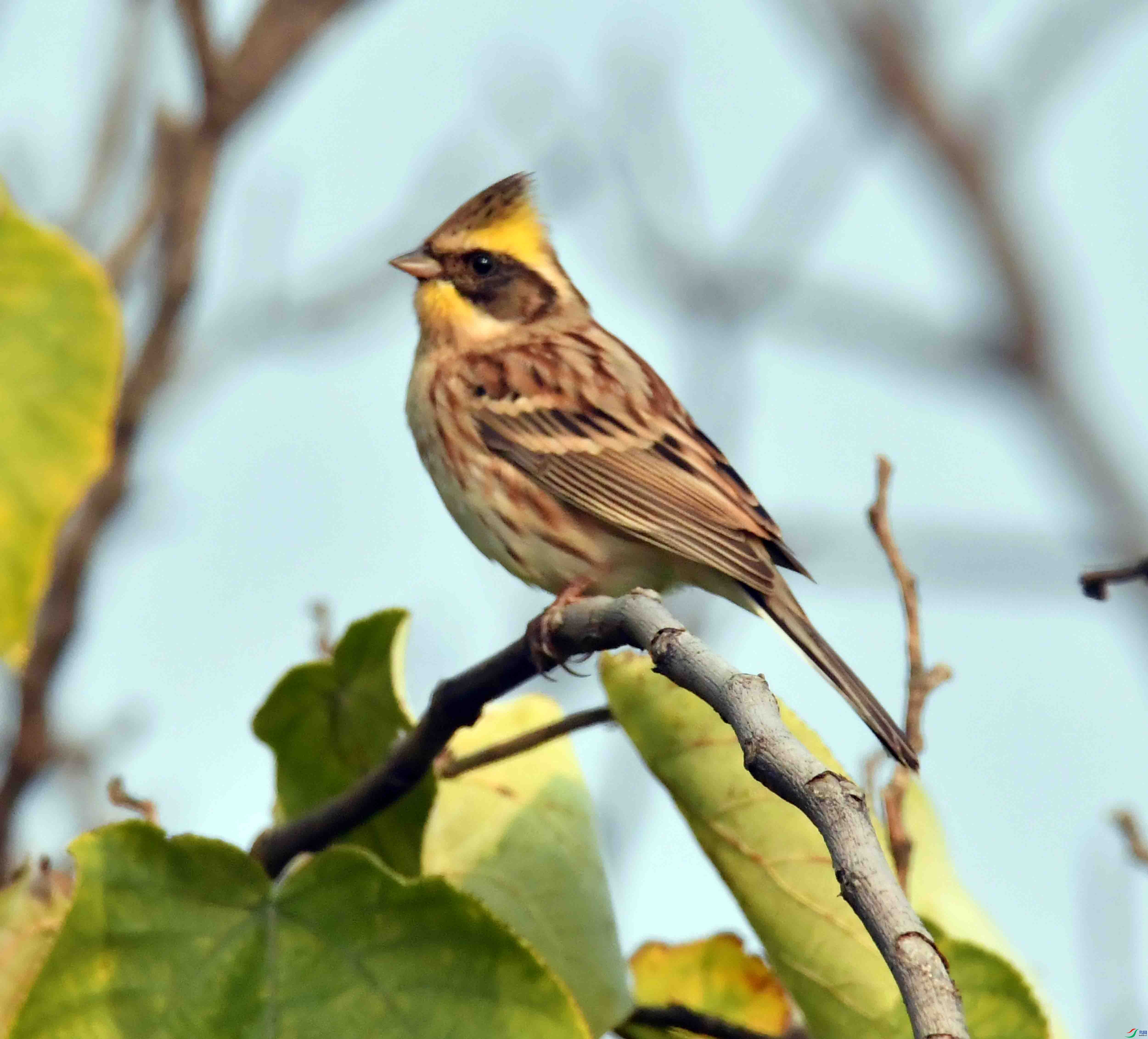 DSC_4385.JPG