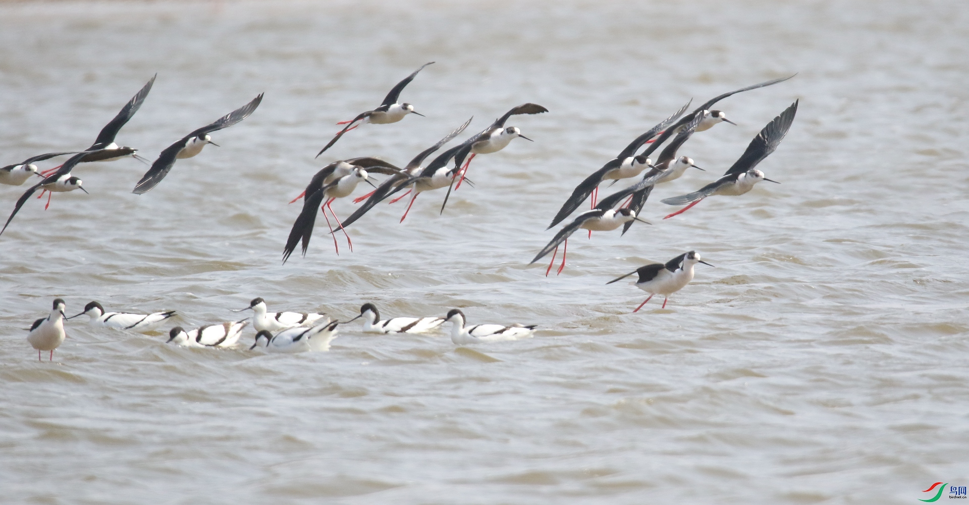 0G1A9037 ����.jpg