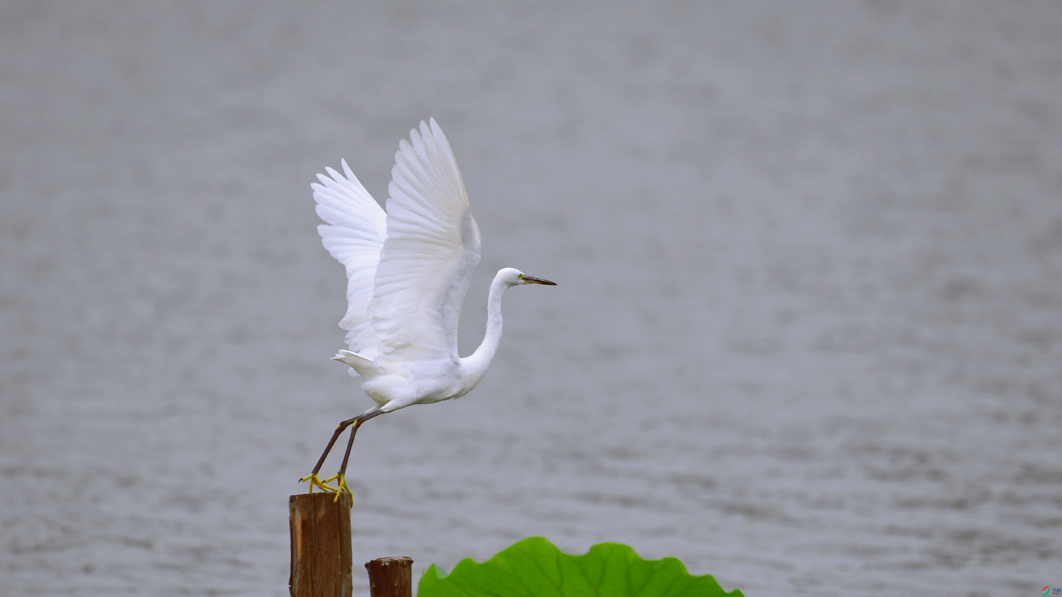 DSC_6782.JPG