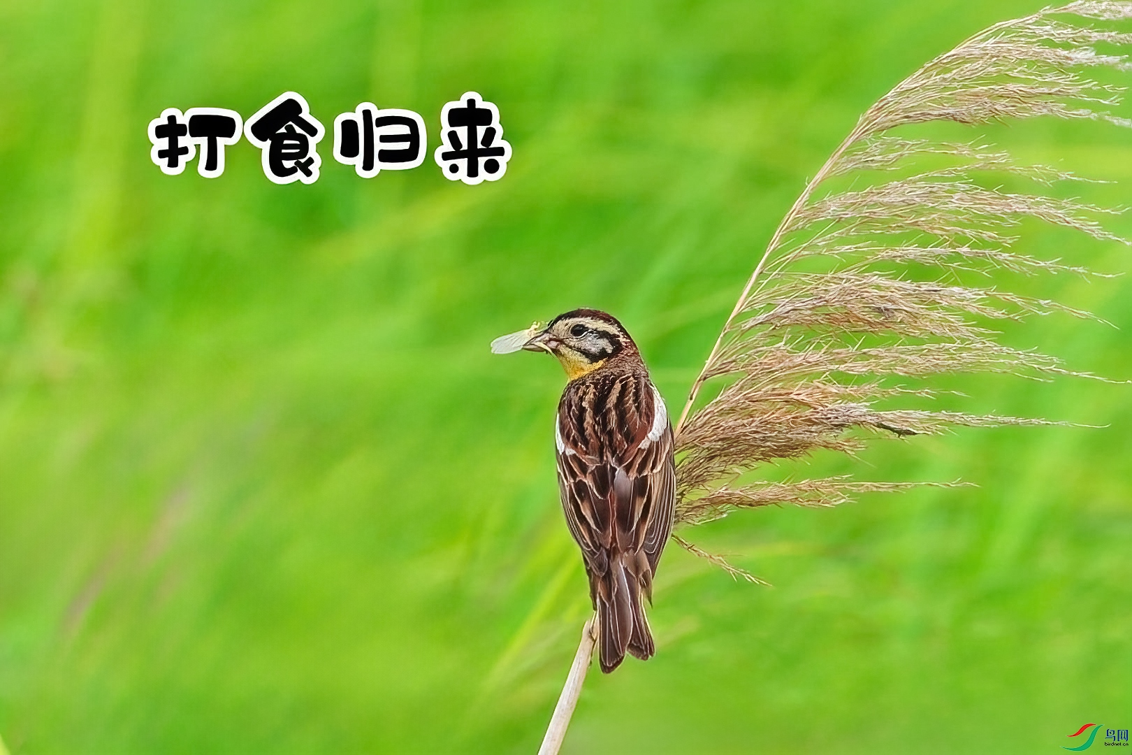 8��27�� (1)-���� ����.jpg