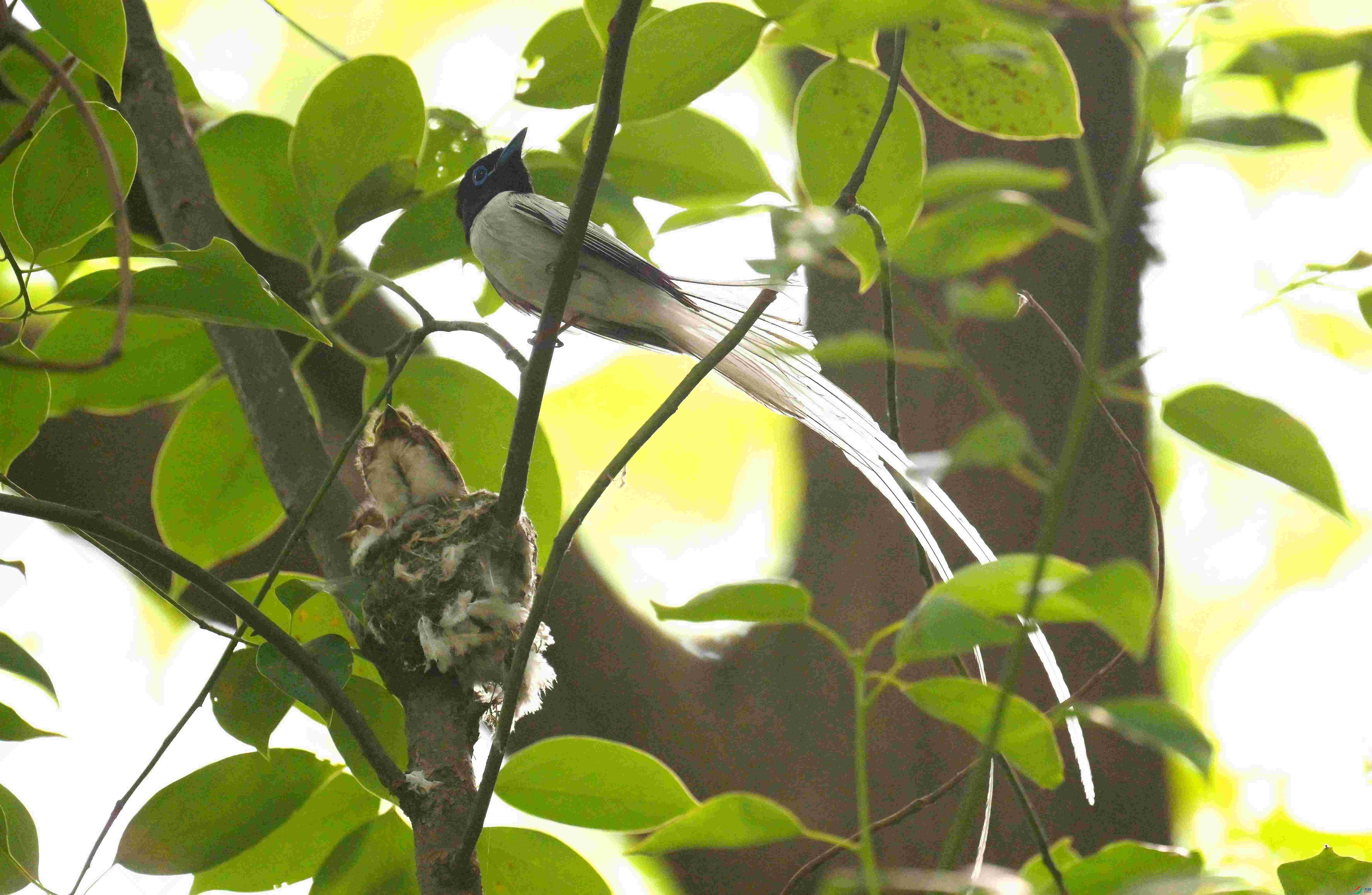 DSC_2075.jpg