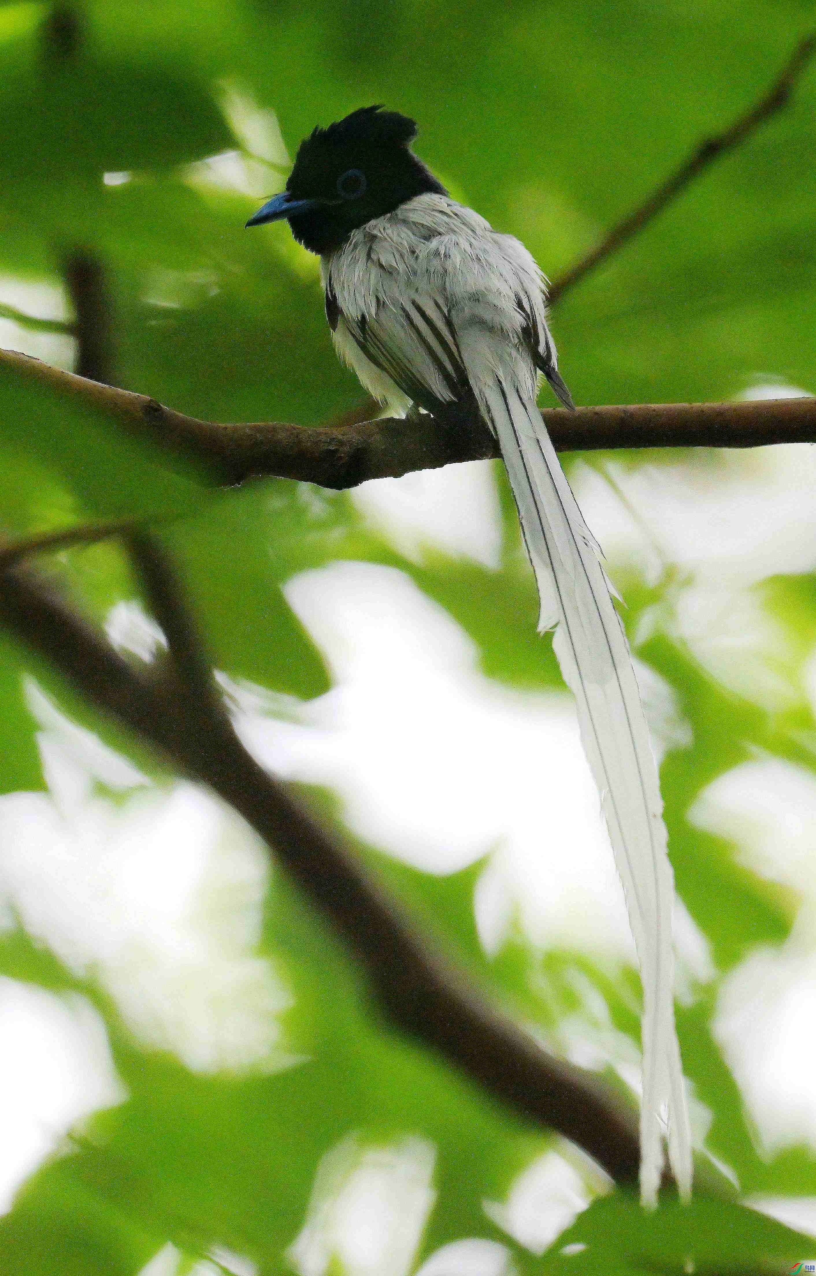 DSC_1056.jpg