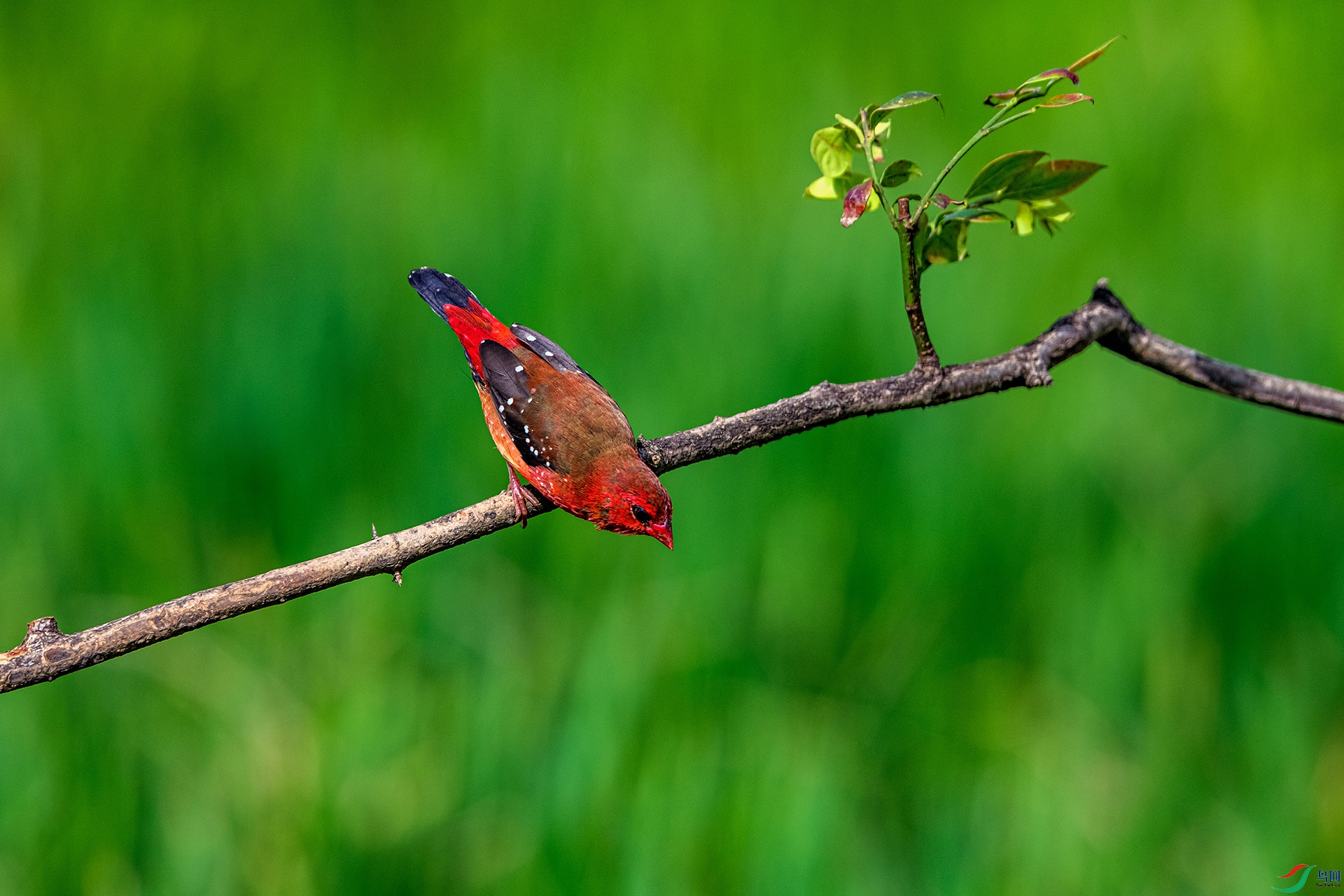 _AUU6249 ��÷��ȸ(25.7.7).jpg