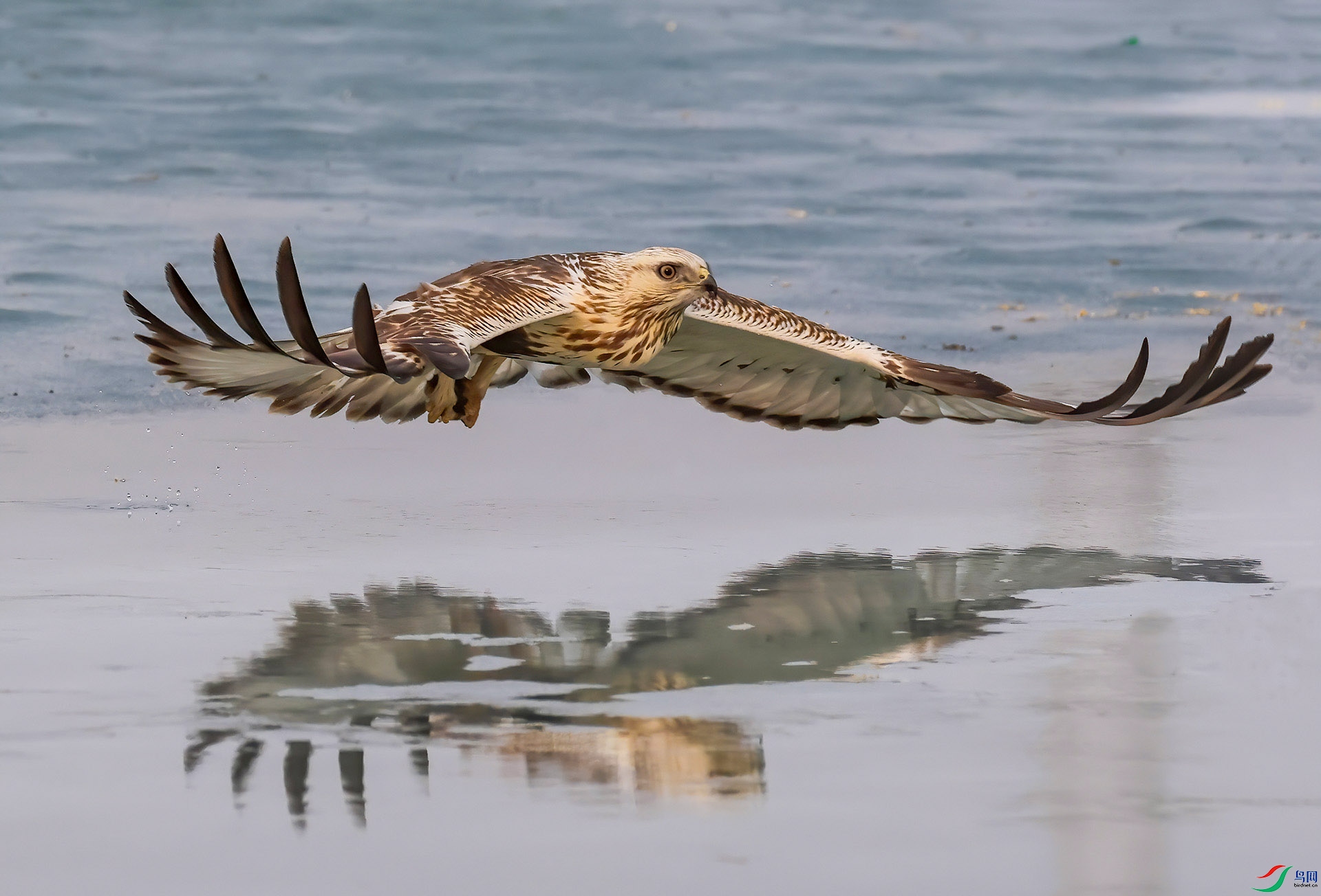 �Ϳ�Ѳ��--ë��