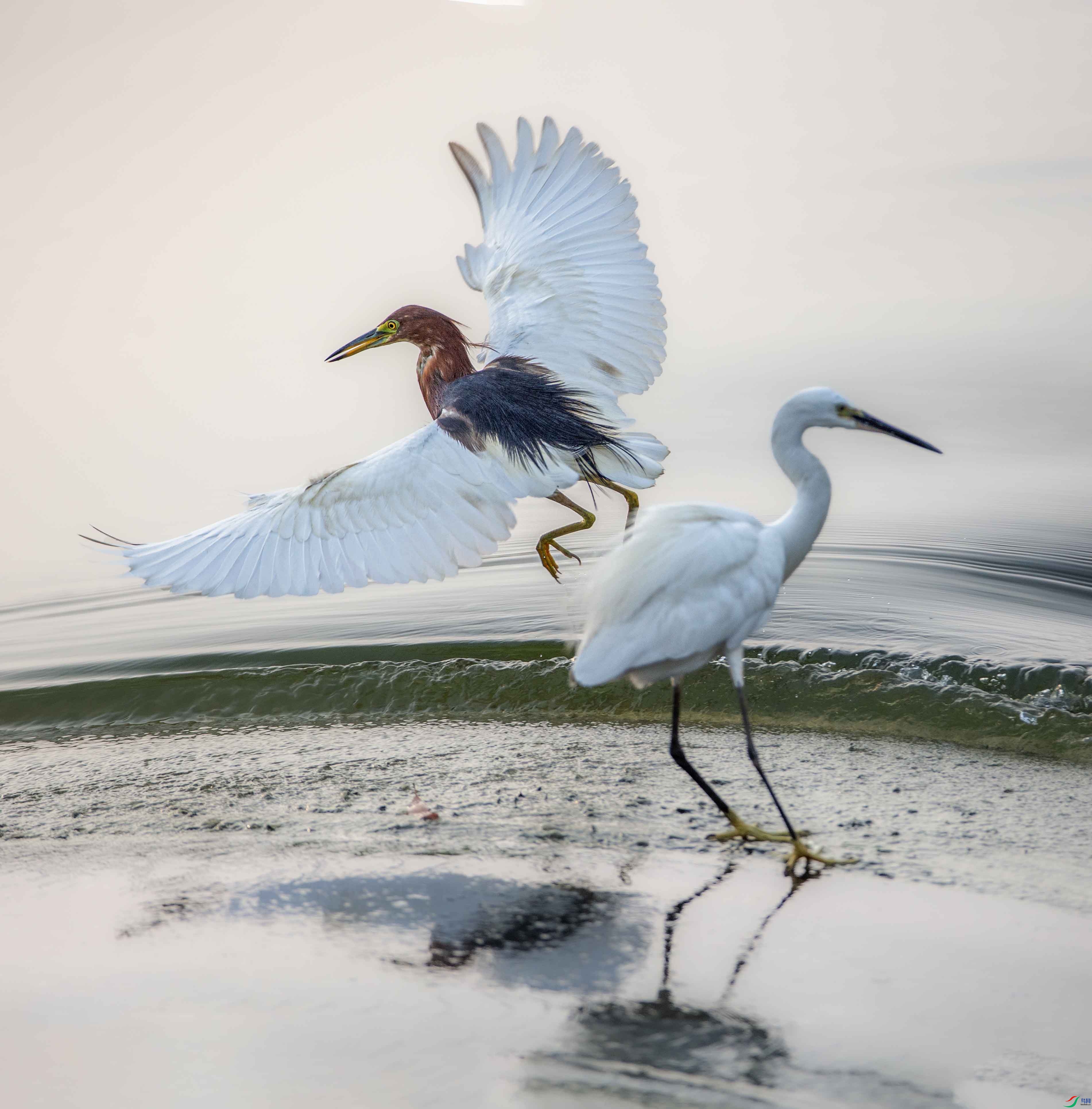 673A7105 ����.jpg