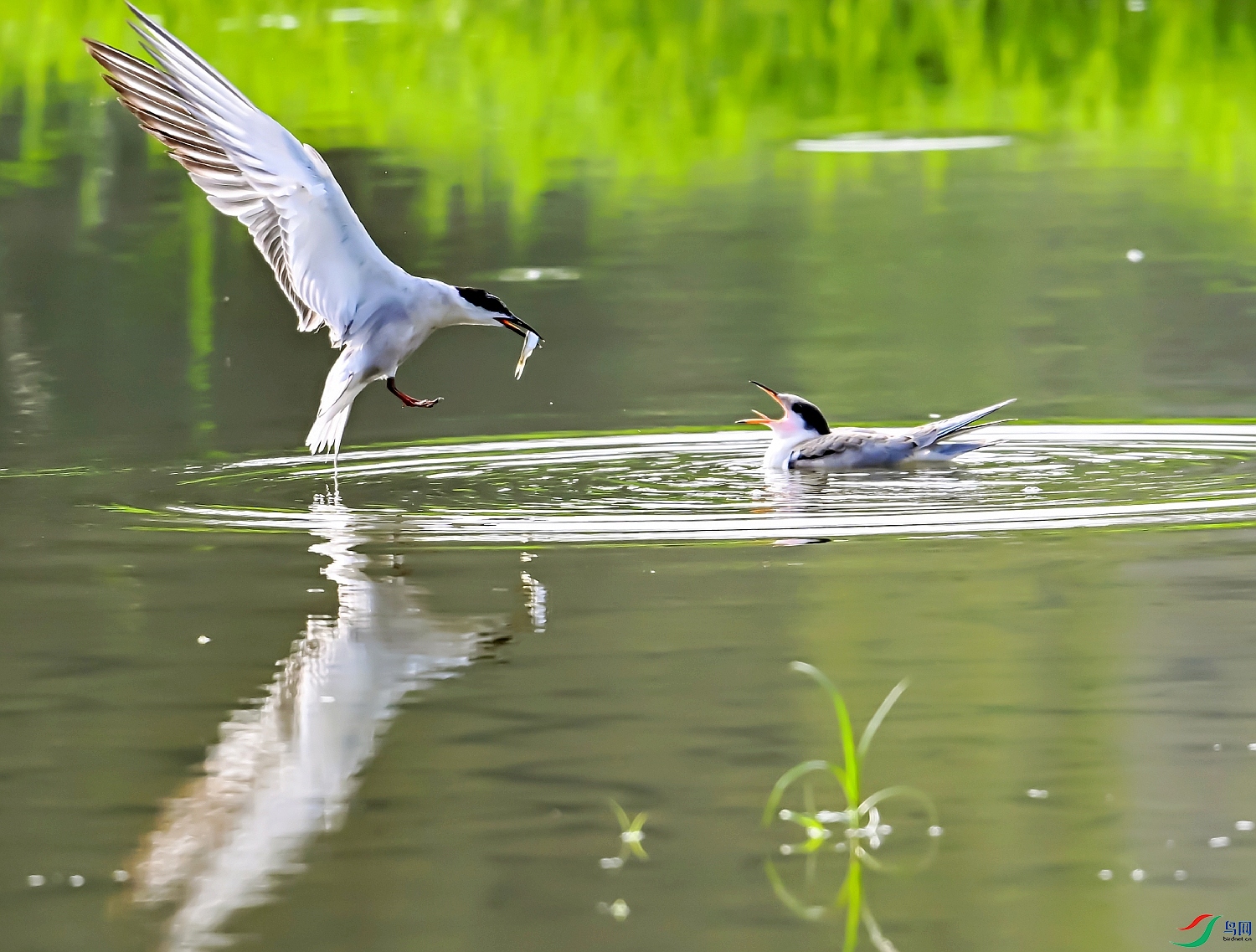 DSC_5369---_conew1.jpg