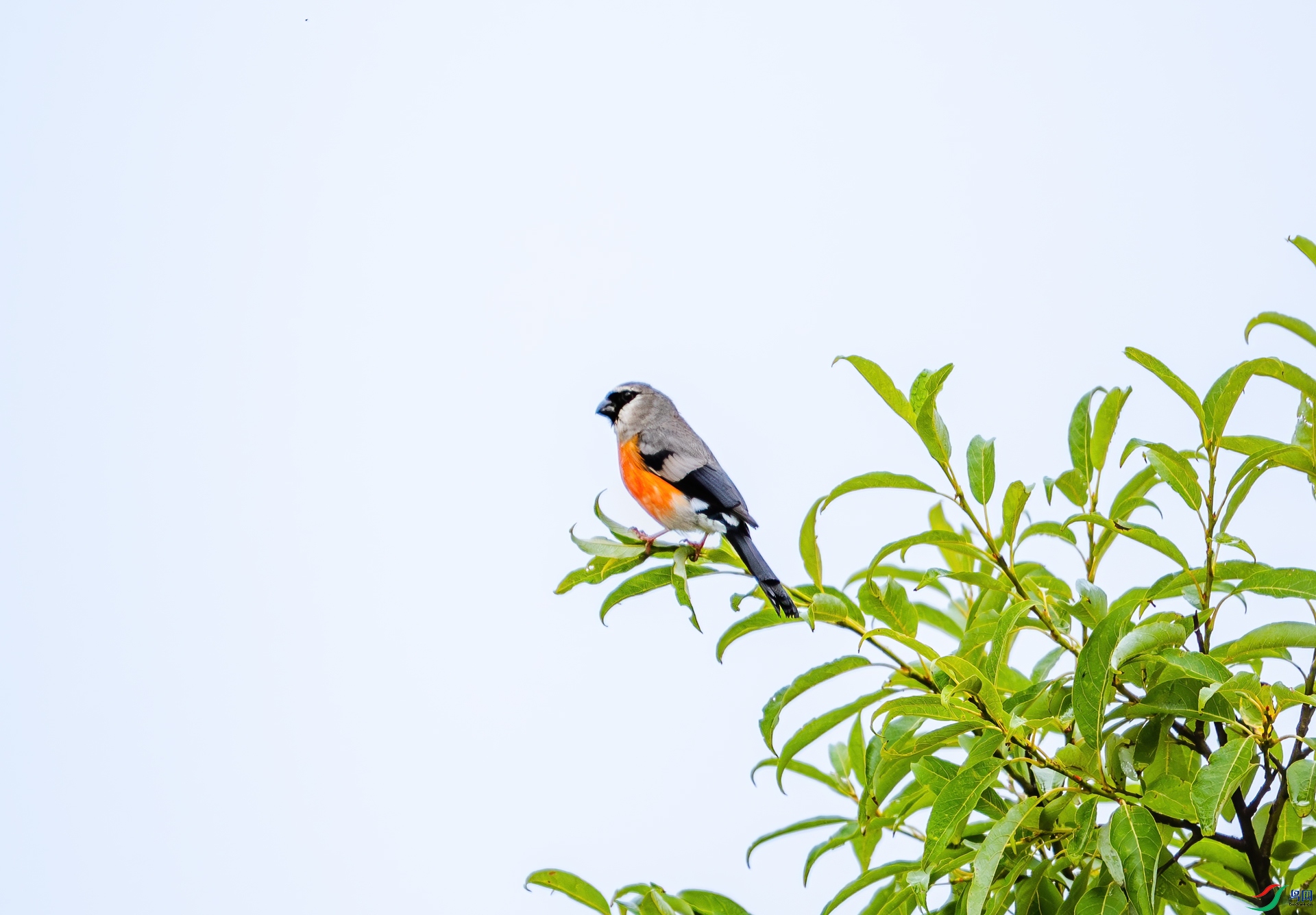 DSC_8754-1.jpg