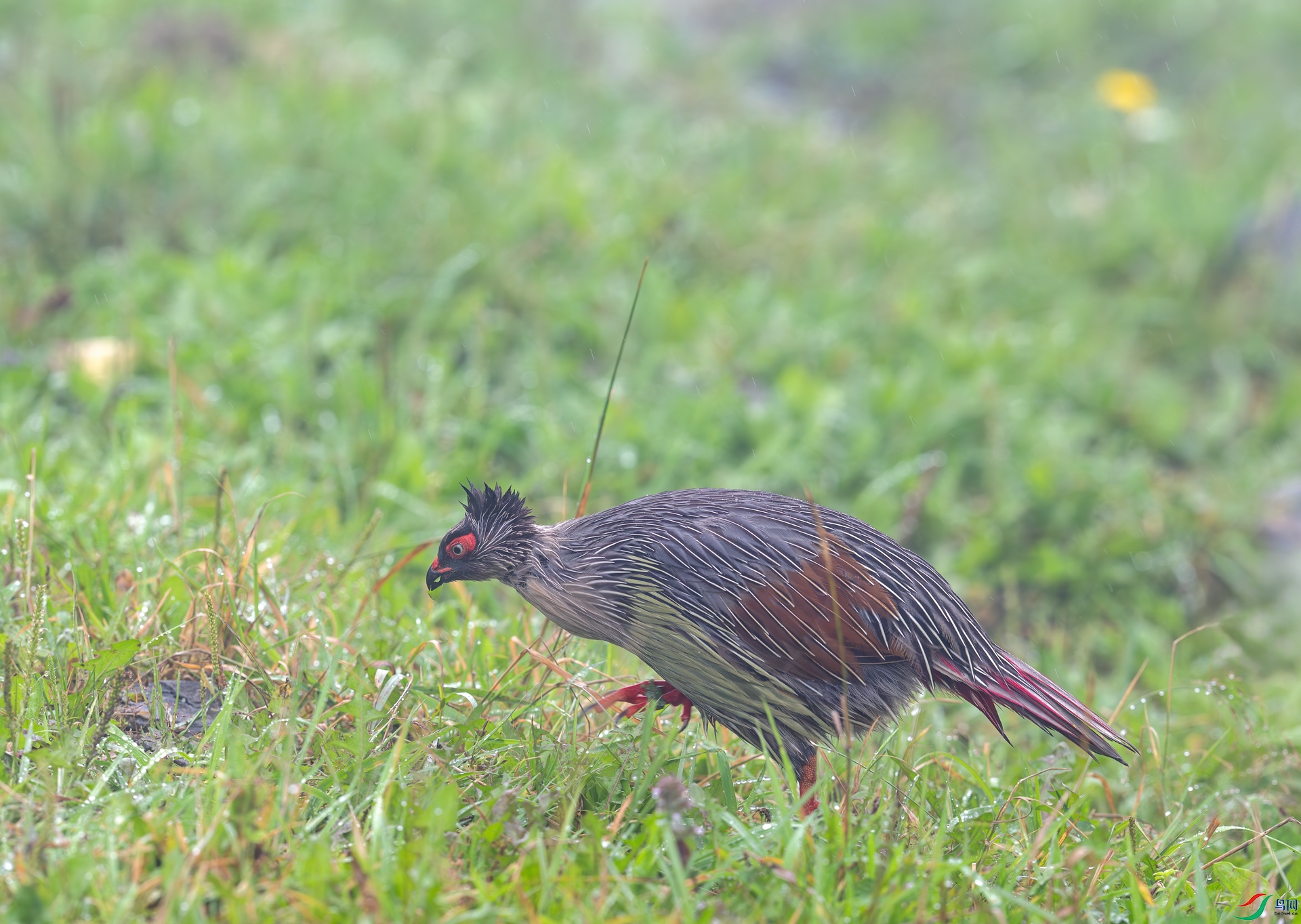 DSC_0801.jpg