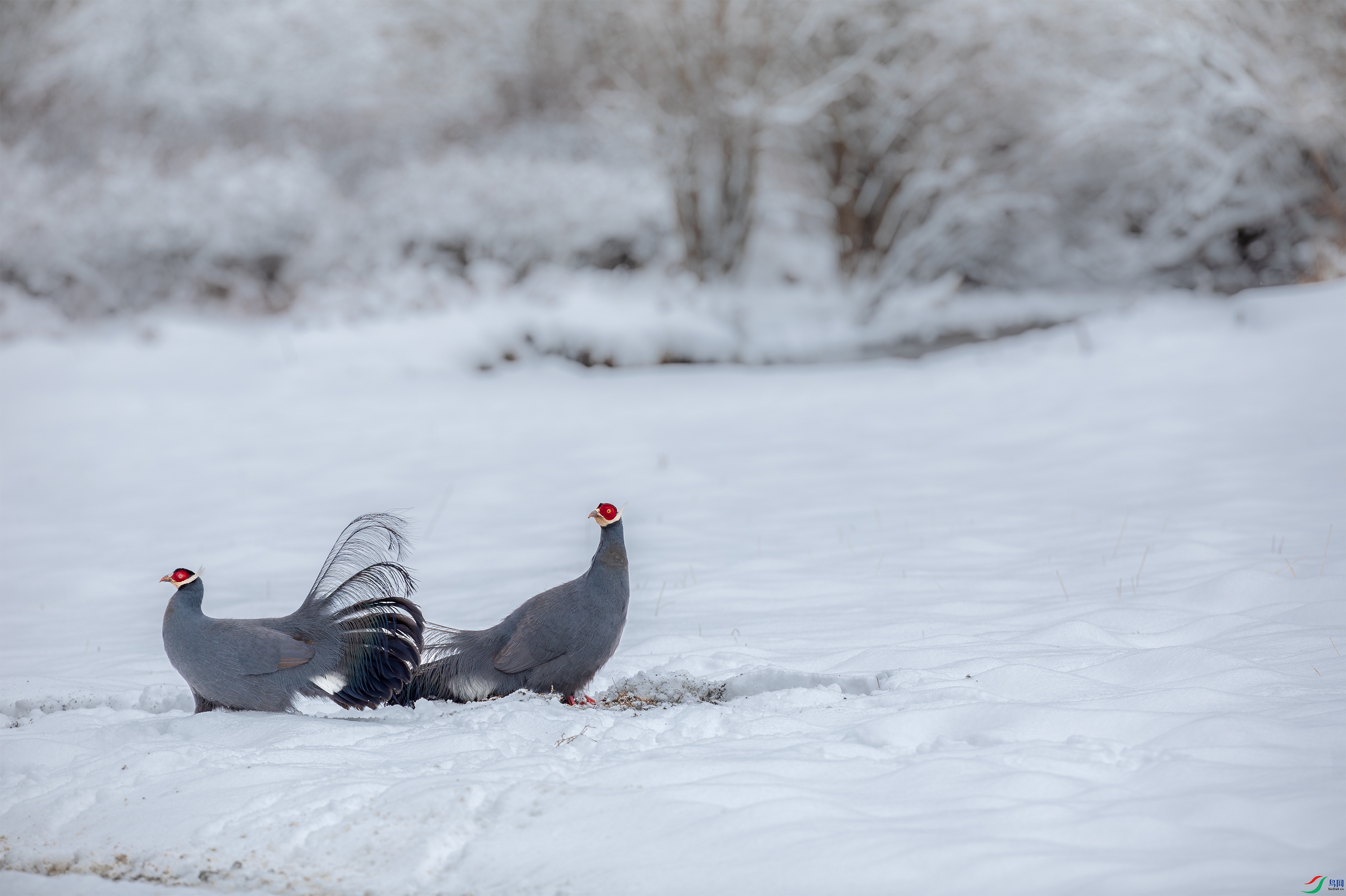 _S5A0124 ����.jpg