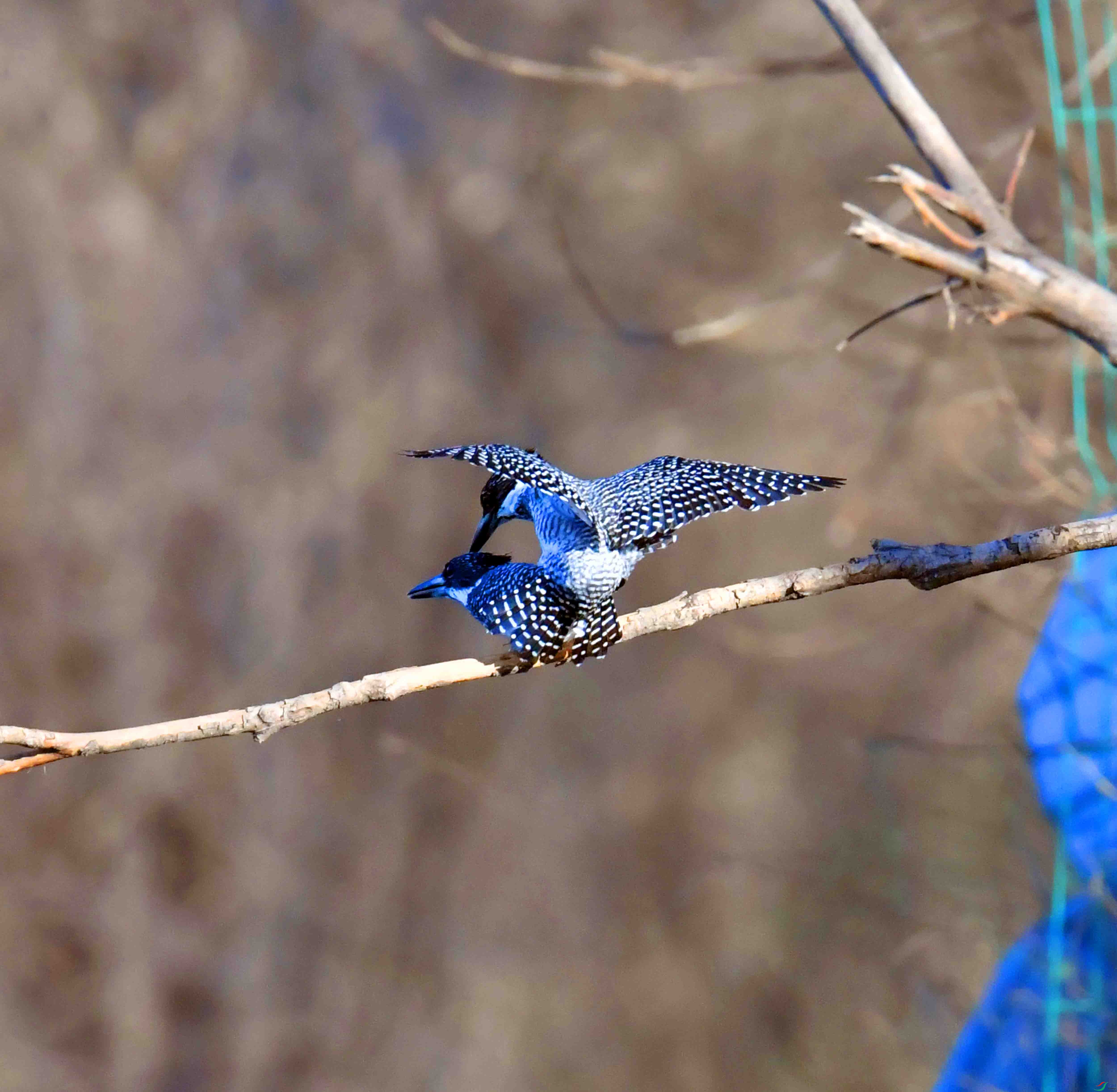 DSC_0356.JPG