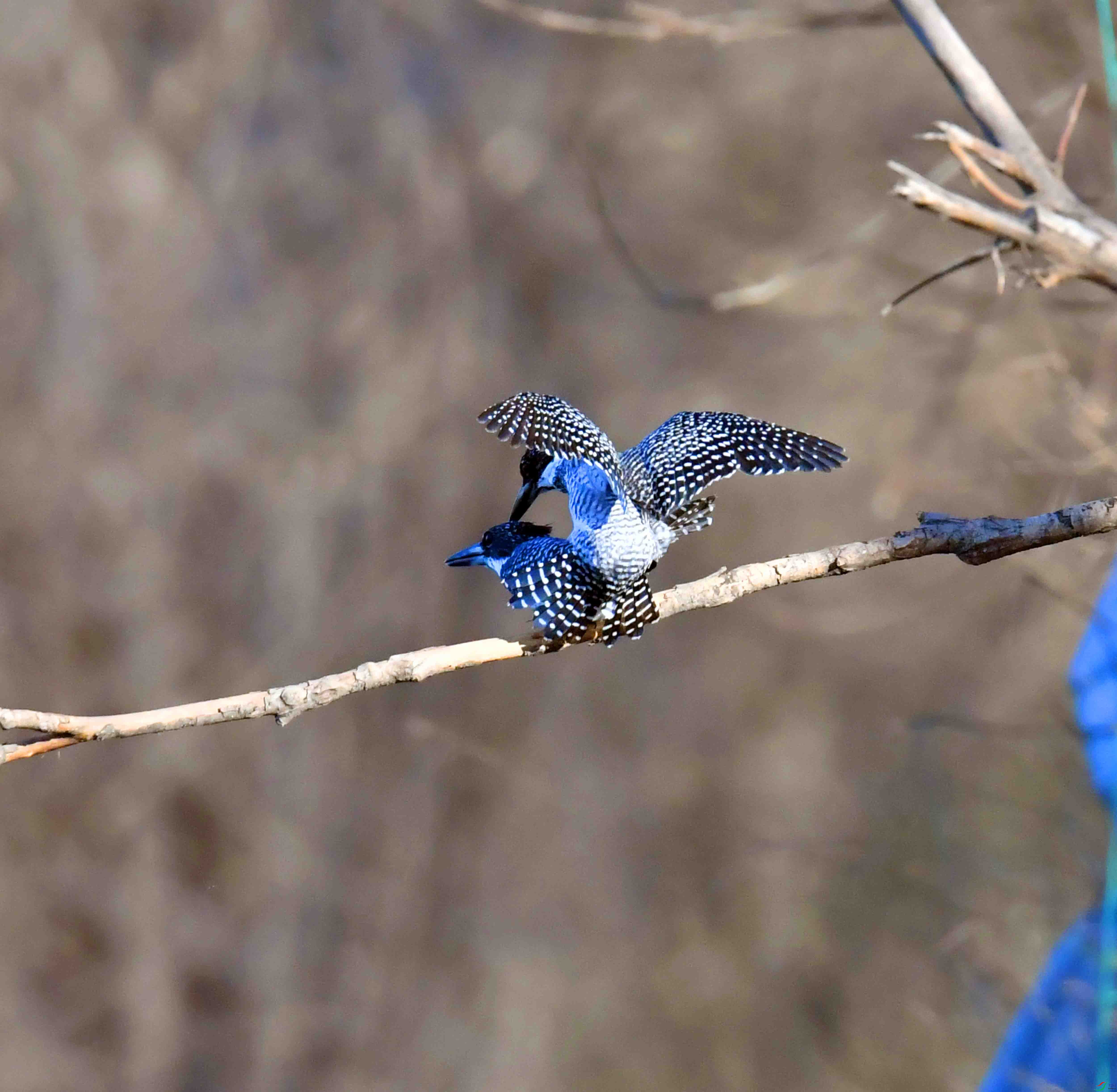 DSC_0358.JPG