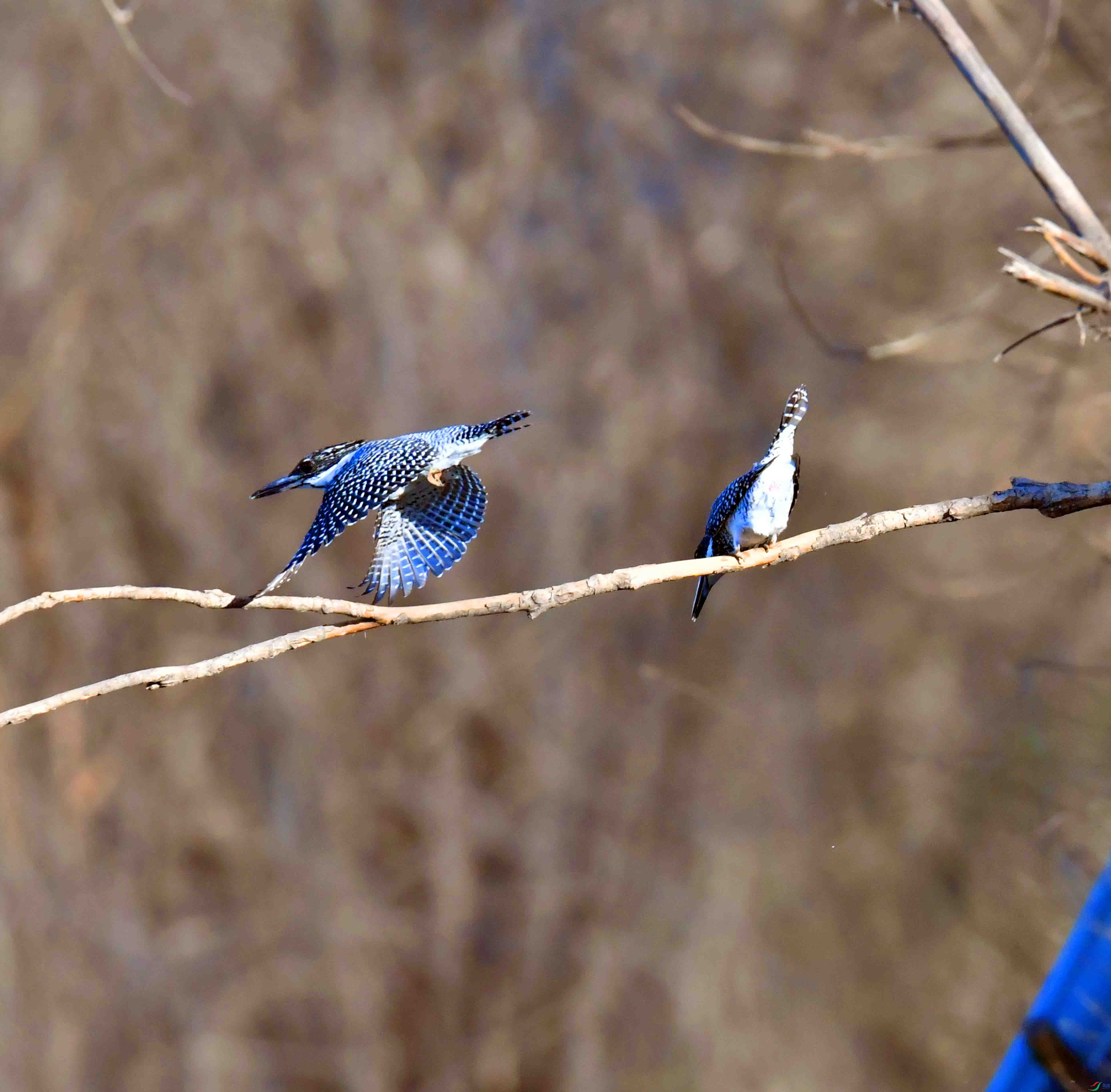 DSC_0365.JPG