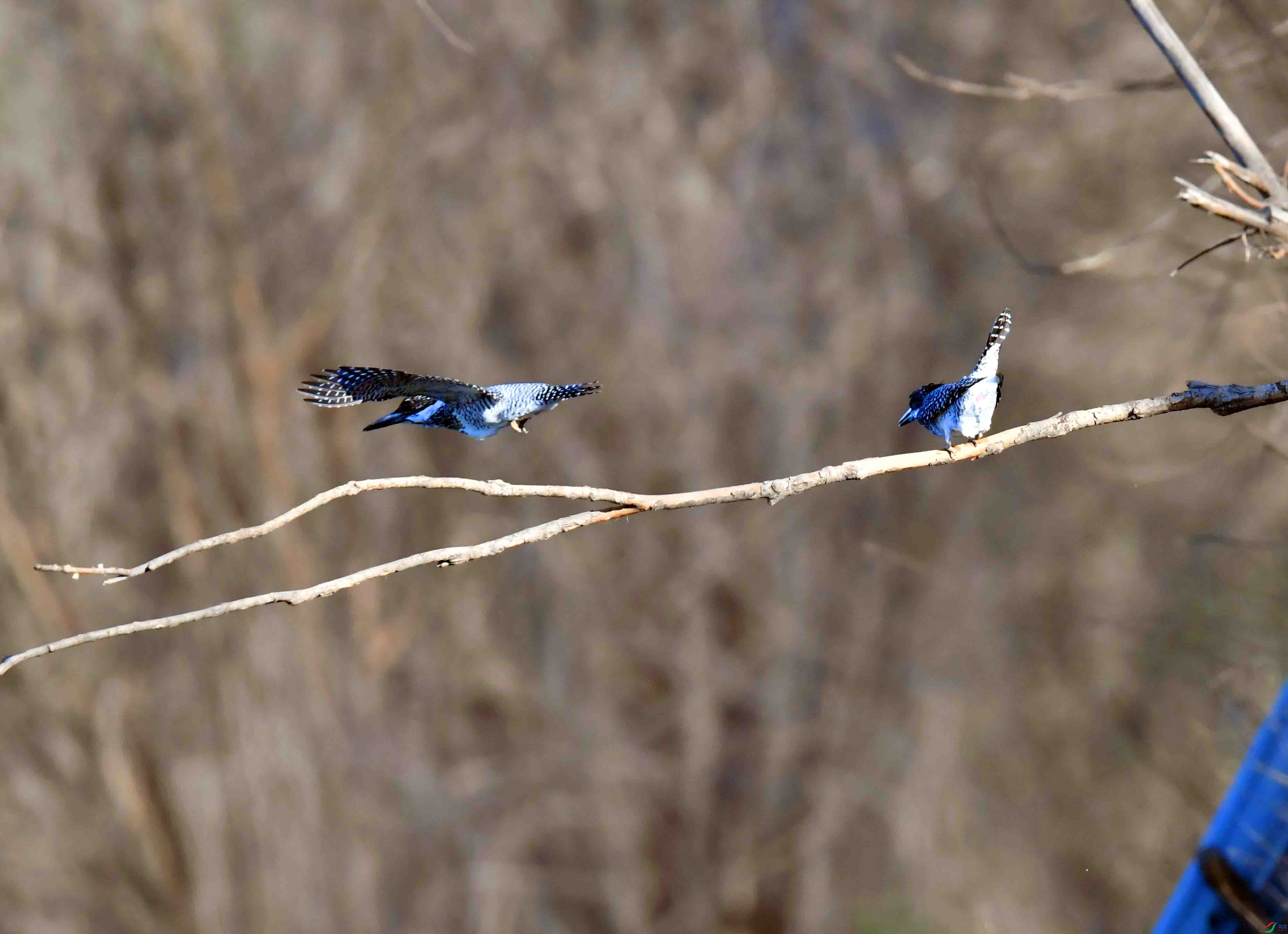 DSC_0366.JPG
