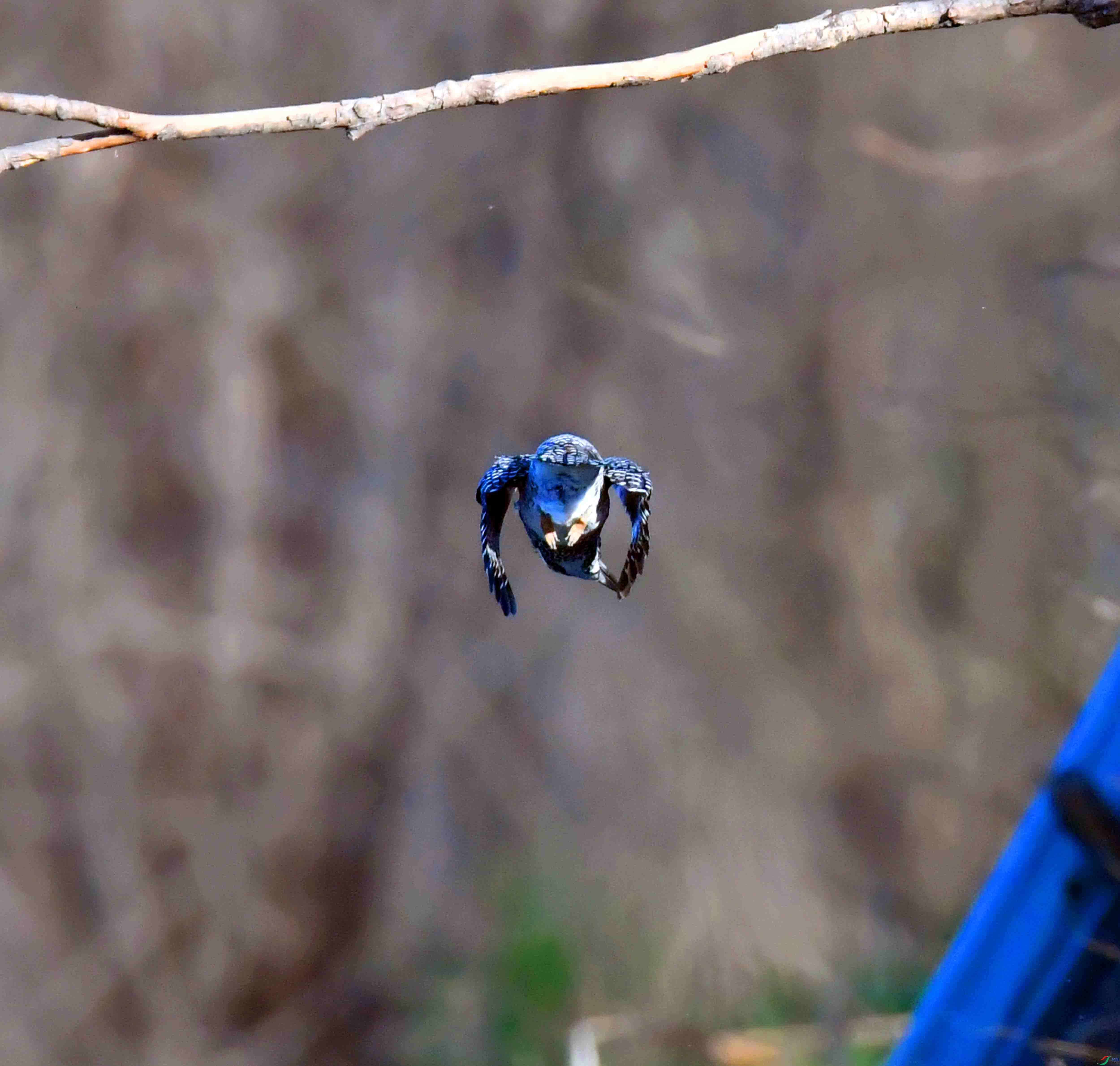 DSC_0369.JPG