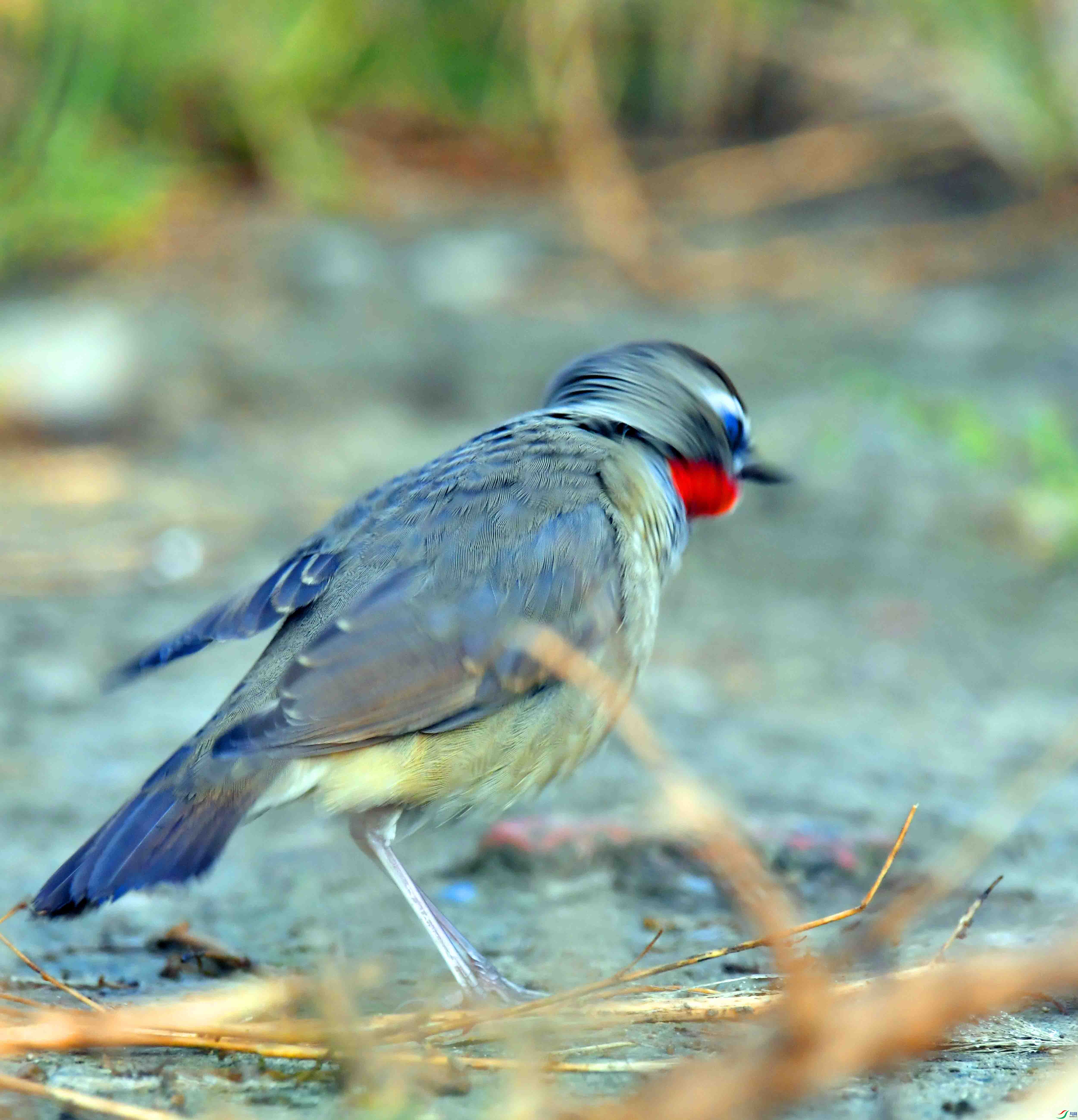 DSC_1432.JPG