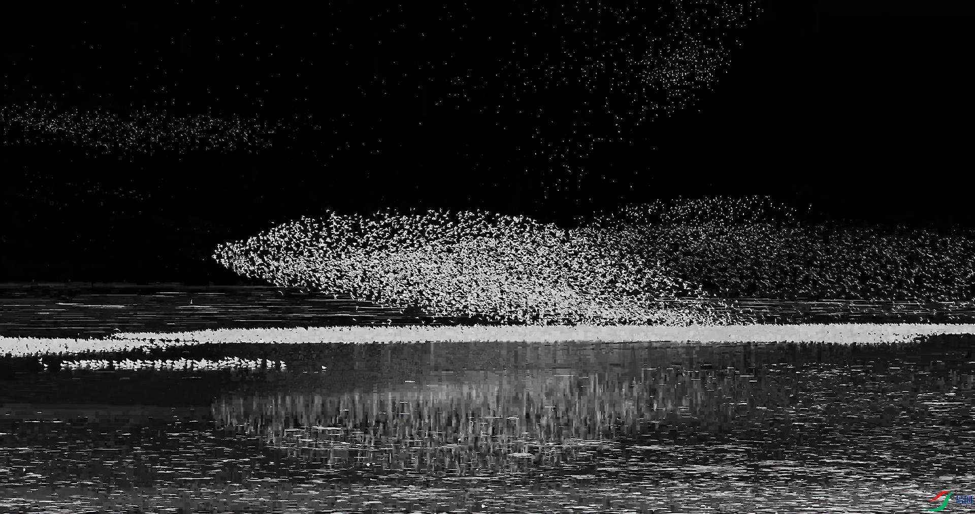 ��֡ 2025-08-31 123732_1.1.11.jpg