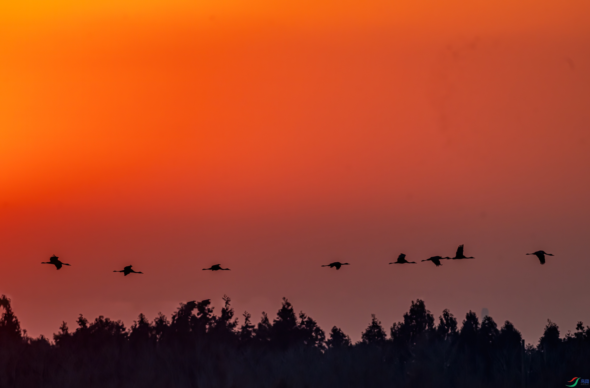 DSC_0050-11.jpg