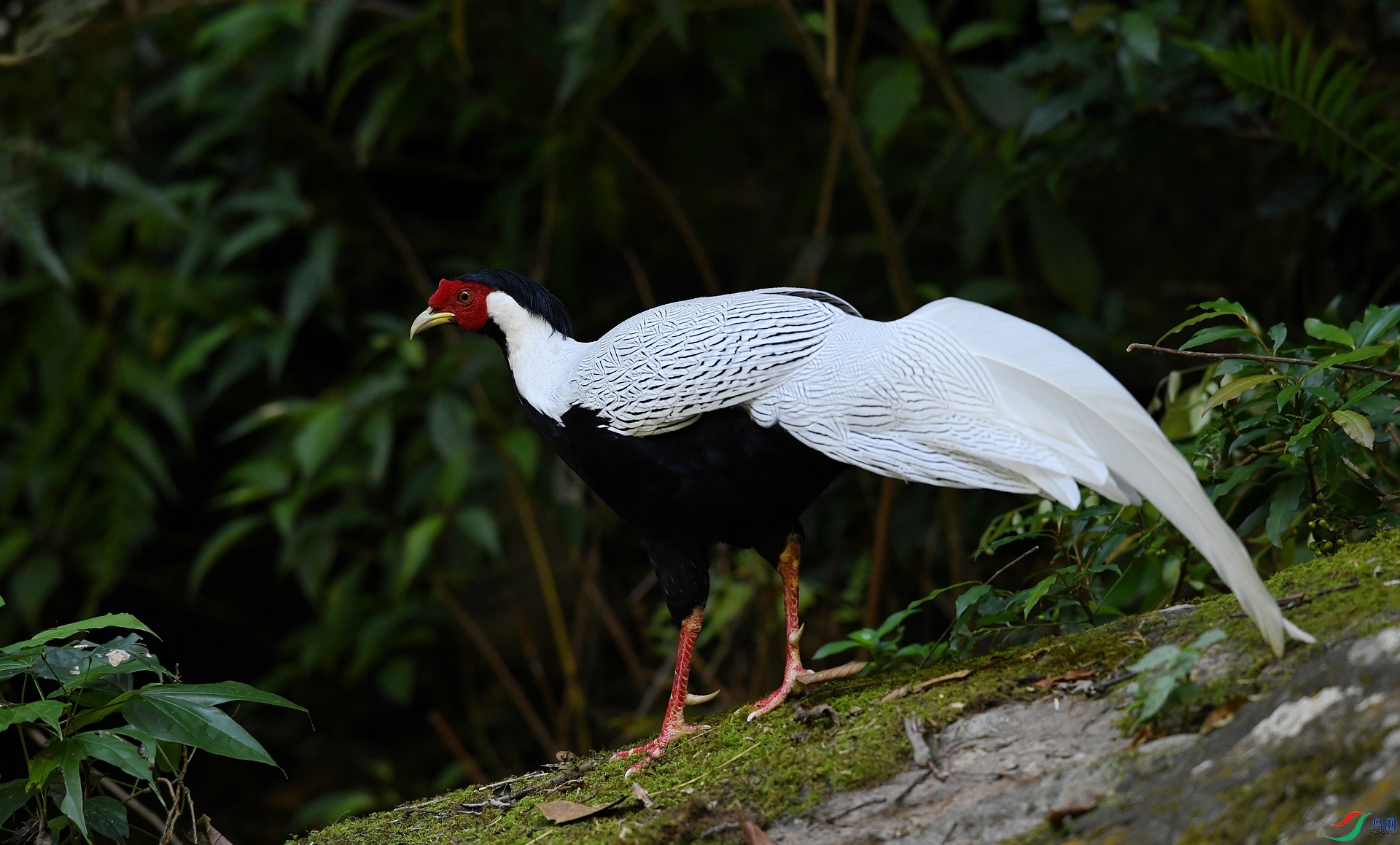 DSC_3572.jpg