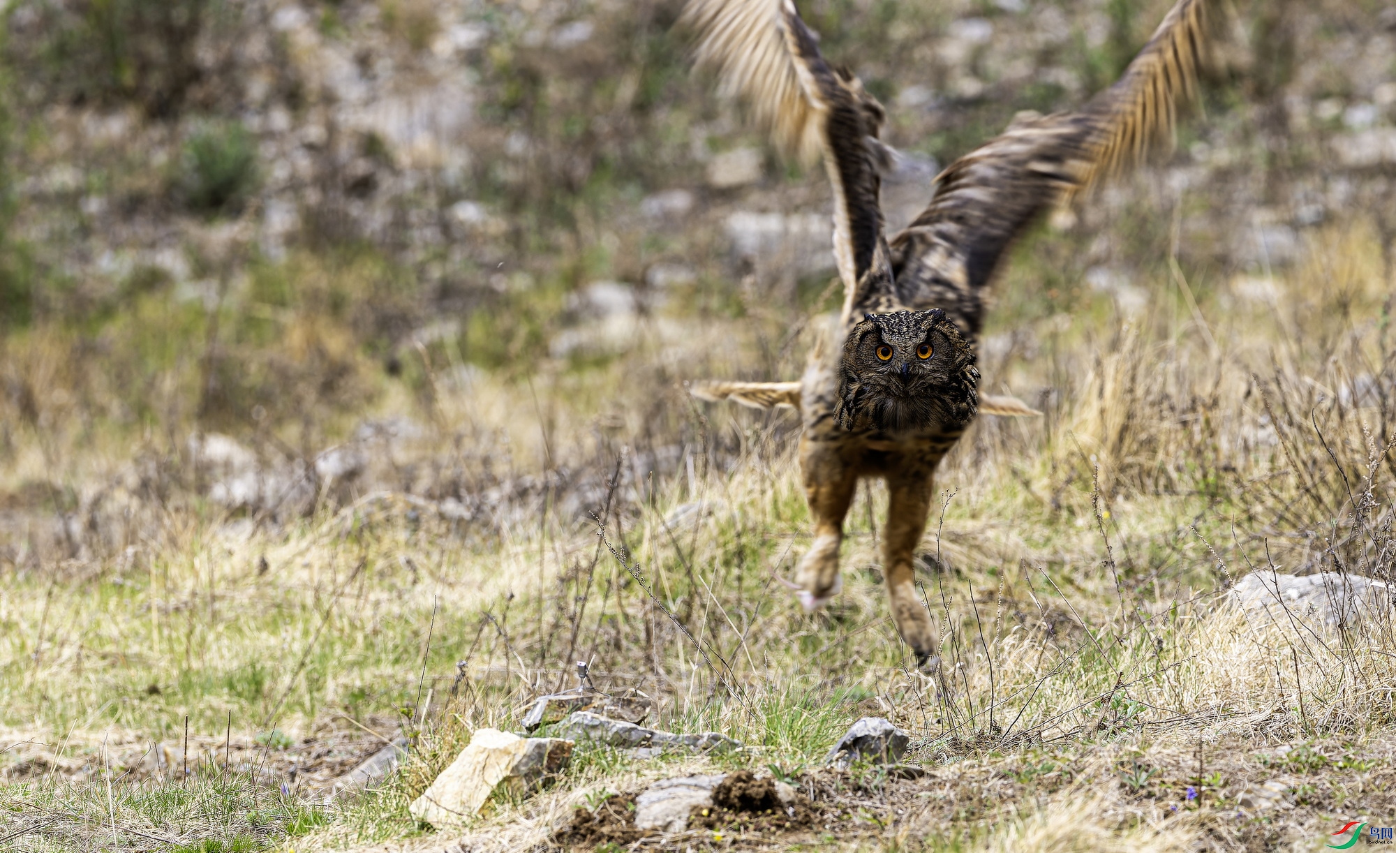 ���^ (6)-01.jpg