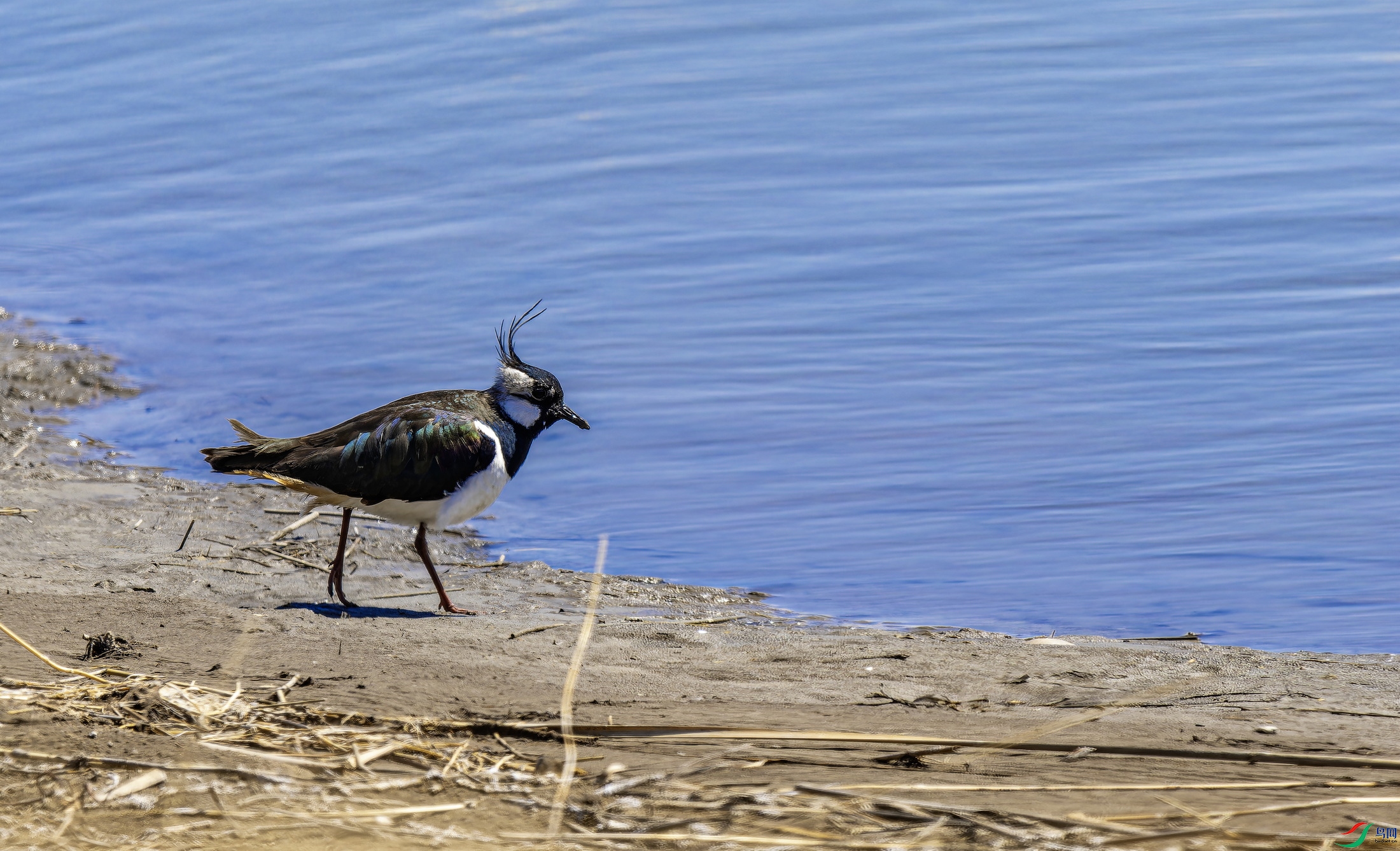 ��ͷ�� (3)-1.jpg