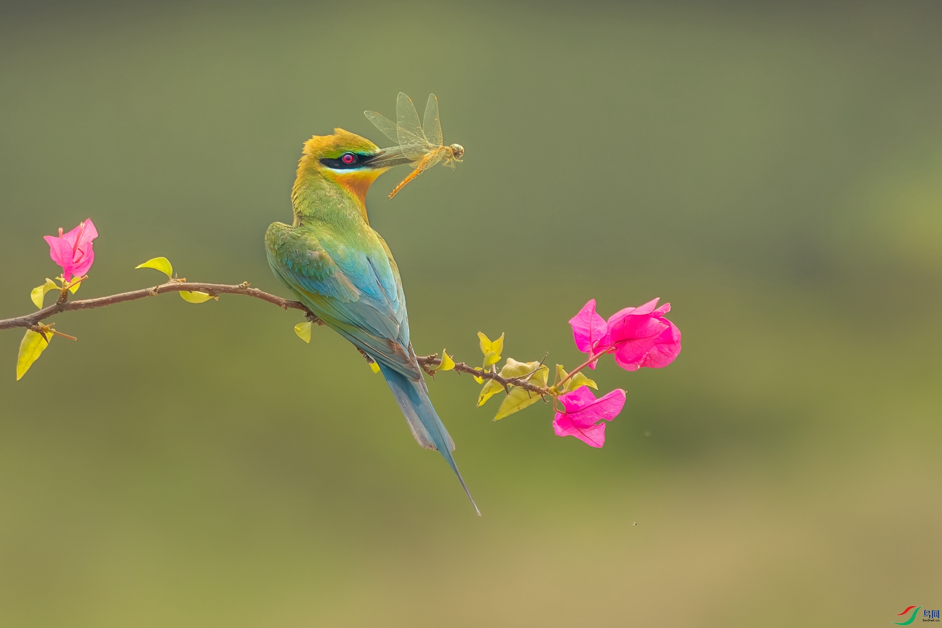 B86I8252 _����.jpg