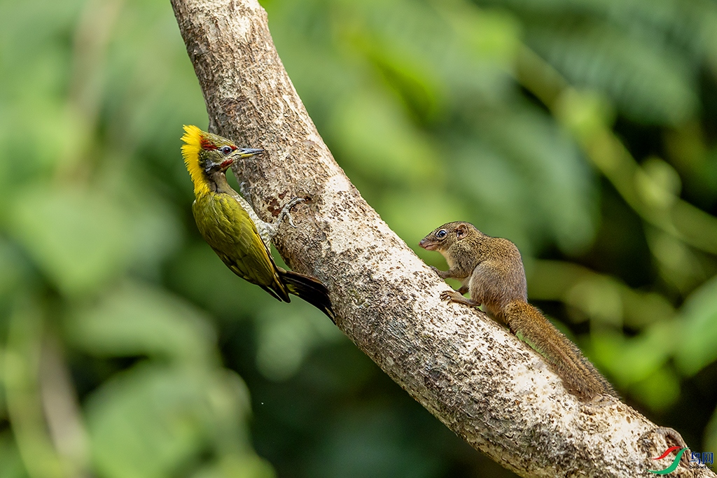 0F7A6730 ����.jpg