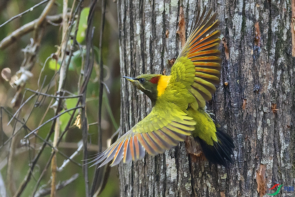 0F7A9714 ����.jpg