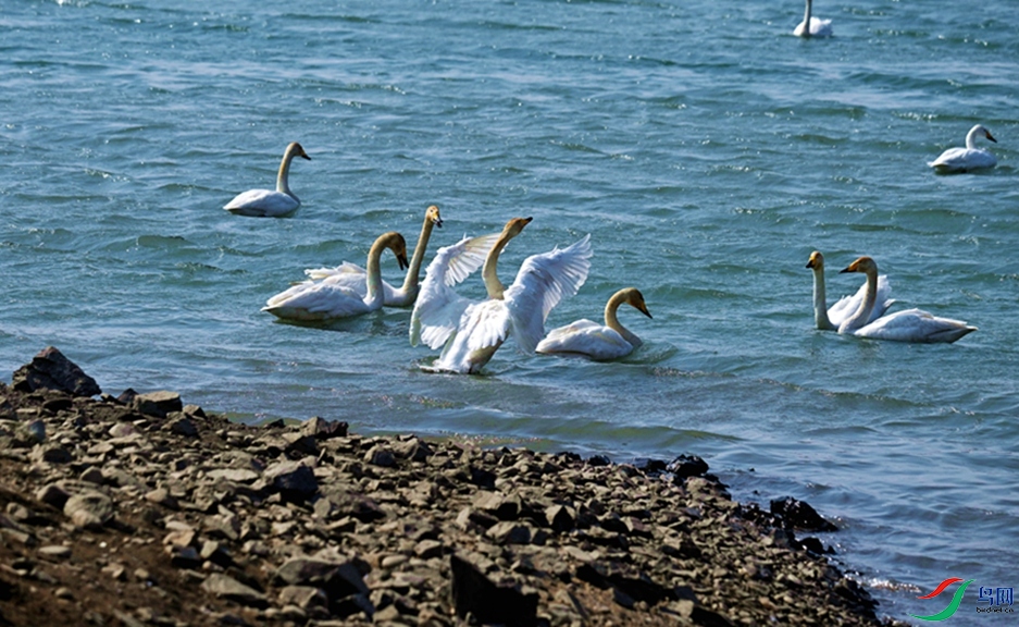 ���������Ȥ�ࡣ