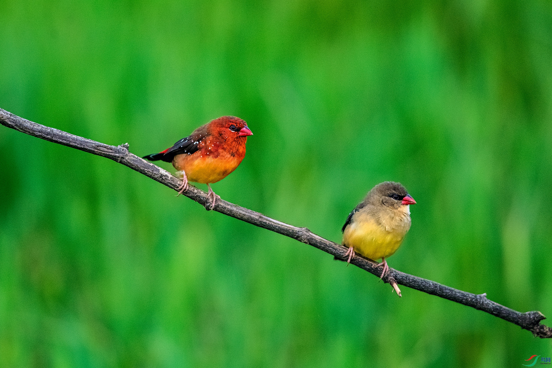 _AUU6583 ��÷��ȸ(25.7.7).jpg