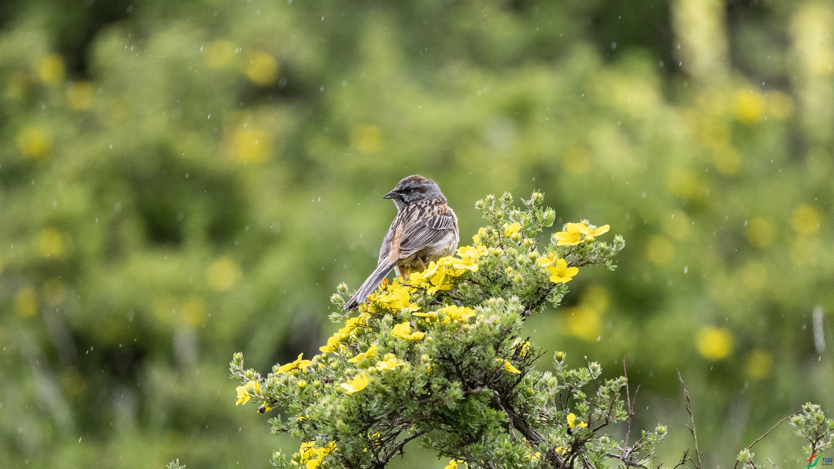 7X5A2937 ����444.jpg