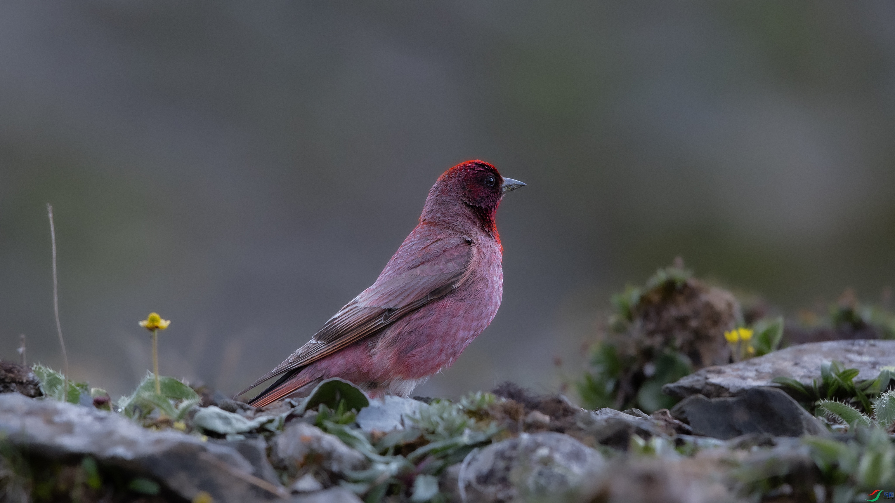 _O7A3882 ��4444.jpg