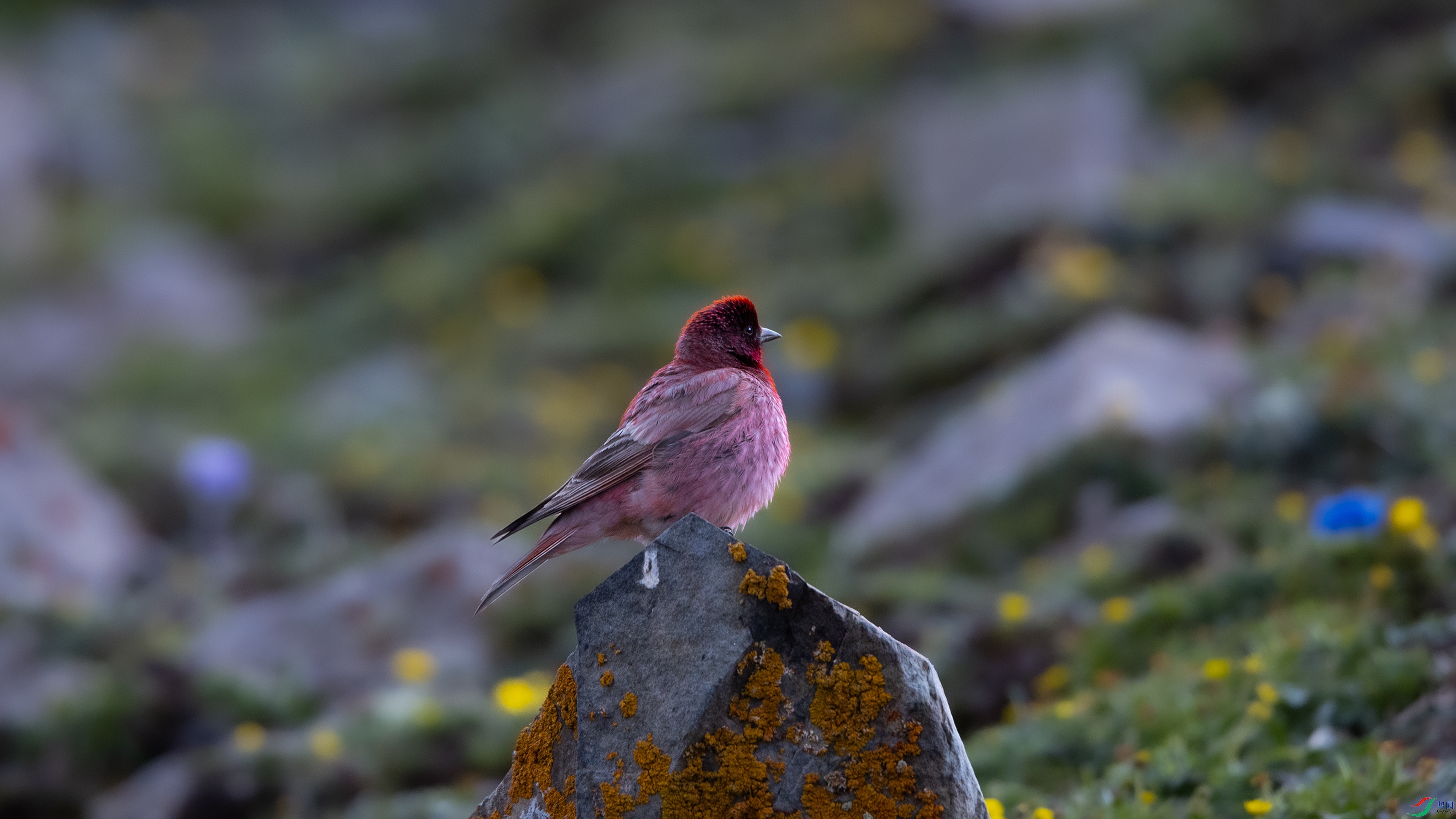 _O7A4034 ��444.jpg