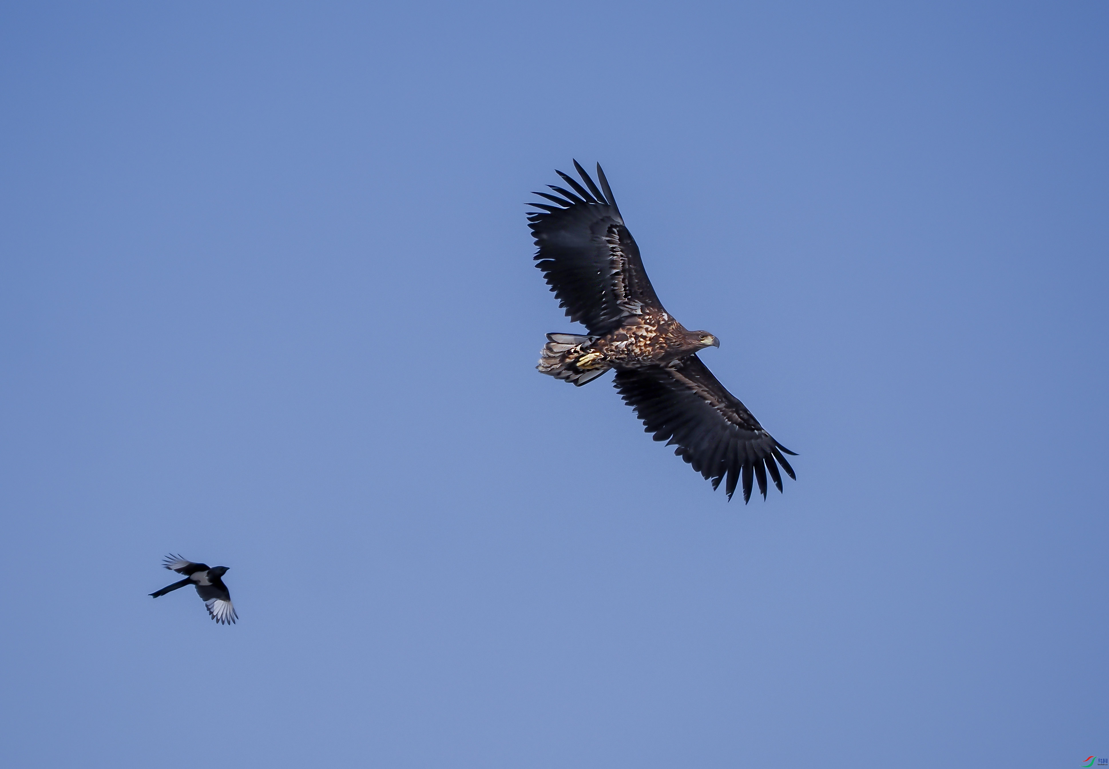 1-P2100134 ���� ����.jpg