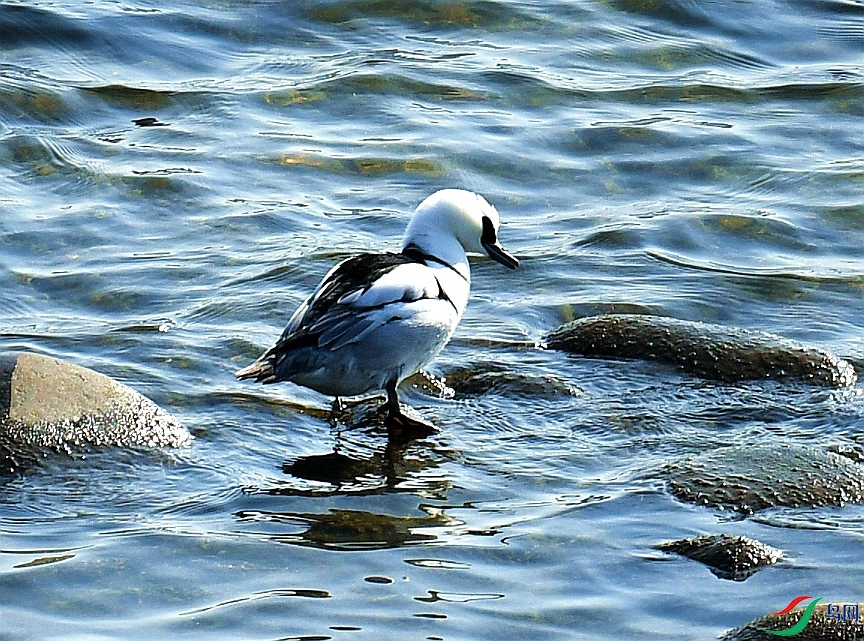 DSC_4421.jpg