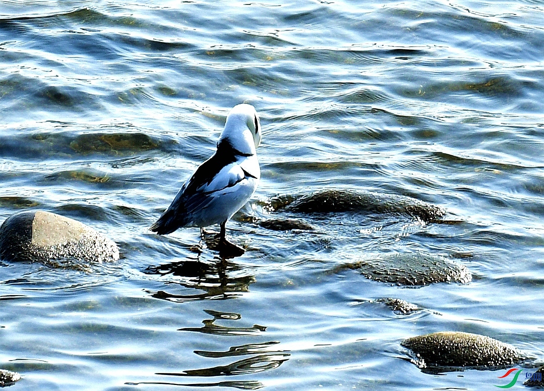 DSC_4438.jpg