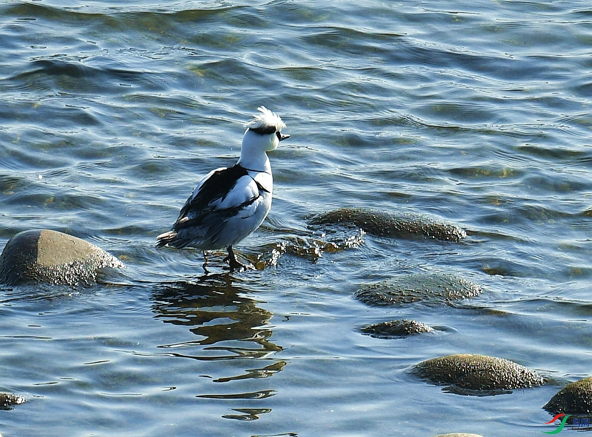 DSC_4426.jpg