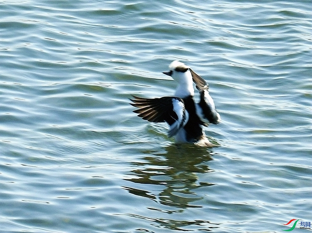 DSC_4510.jpg