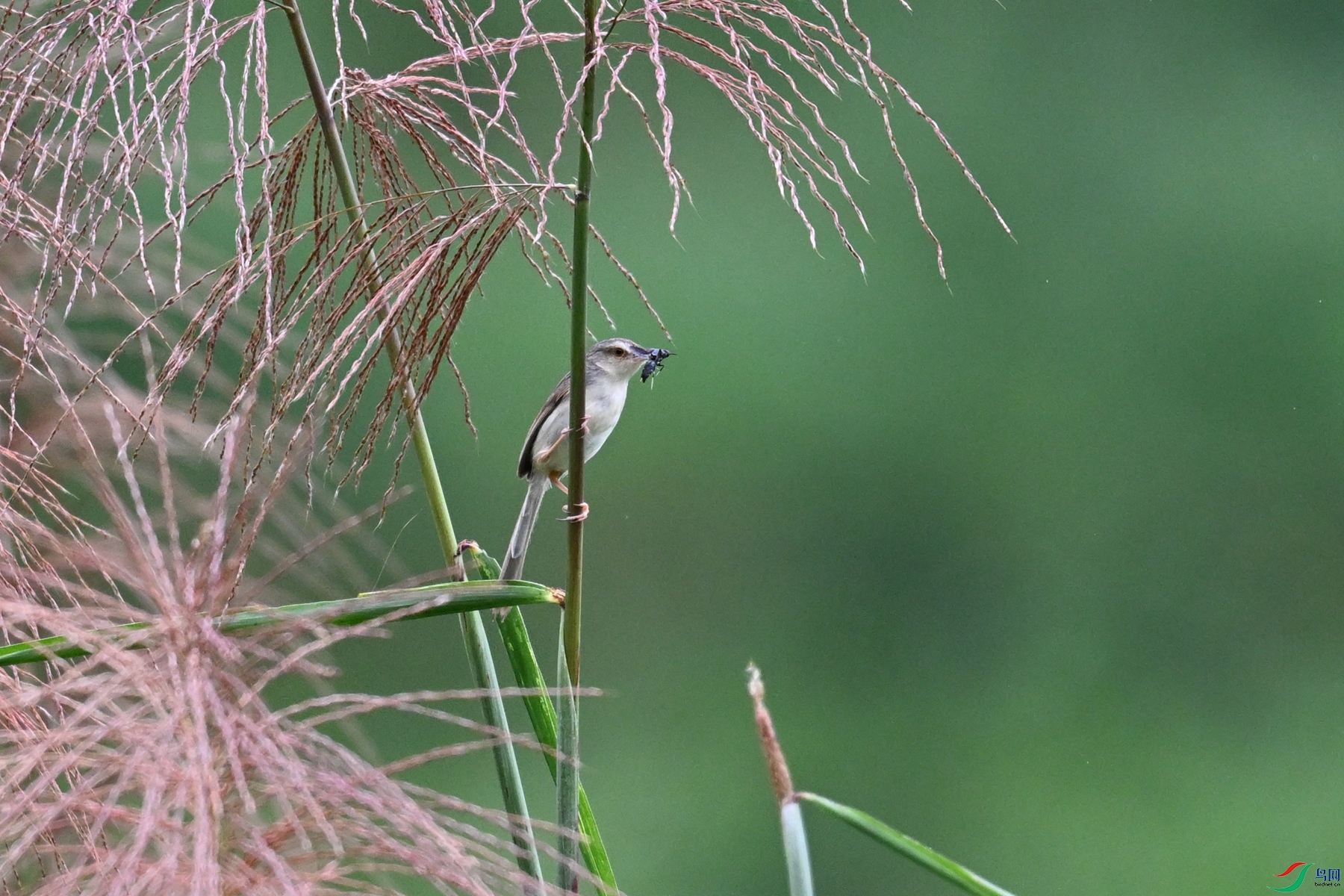 DSC_8461.JPG