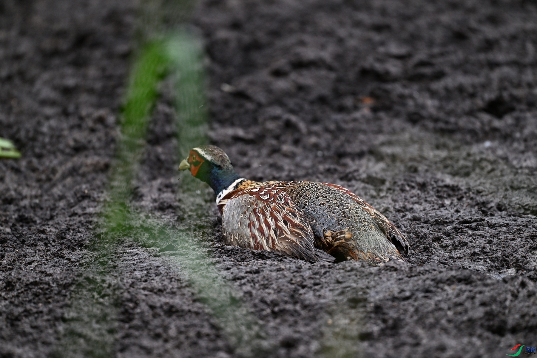 DSC_8476.JPG