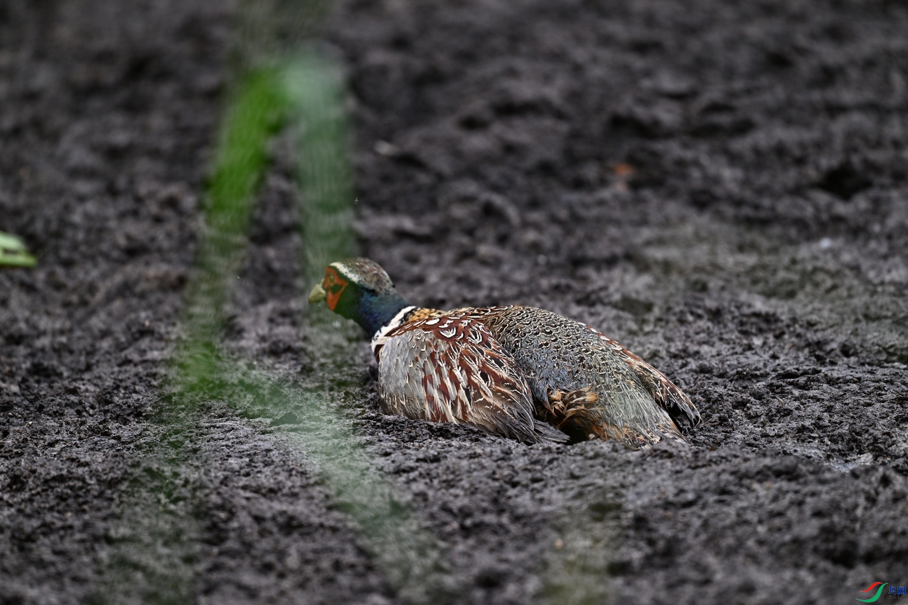 DSC_8477.JPG