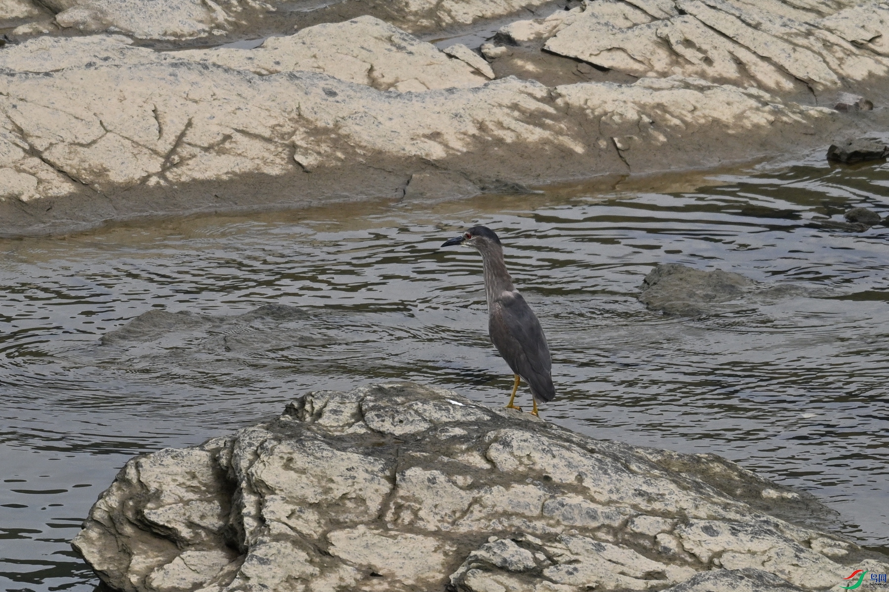 DSC_8496.JPG