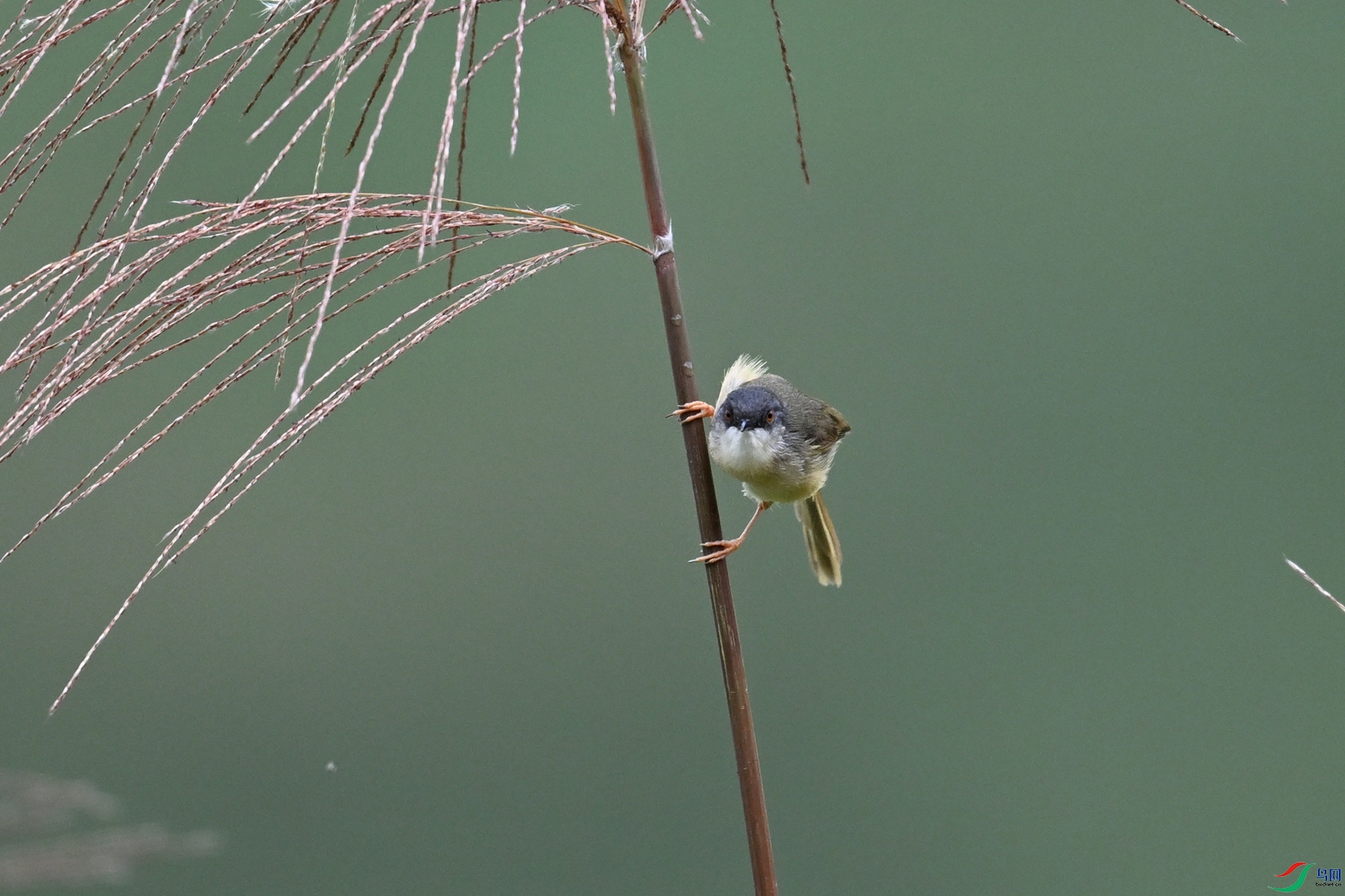 DSC_8481.JPG