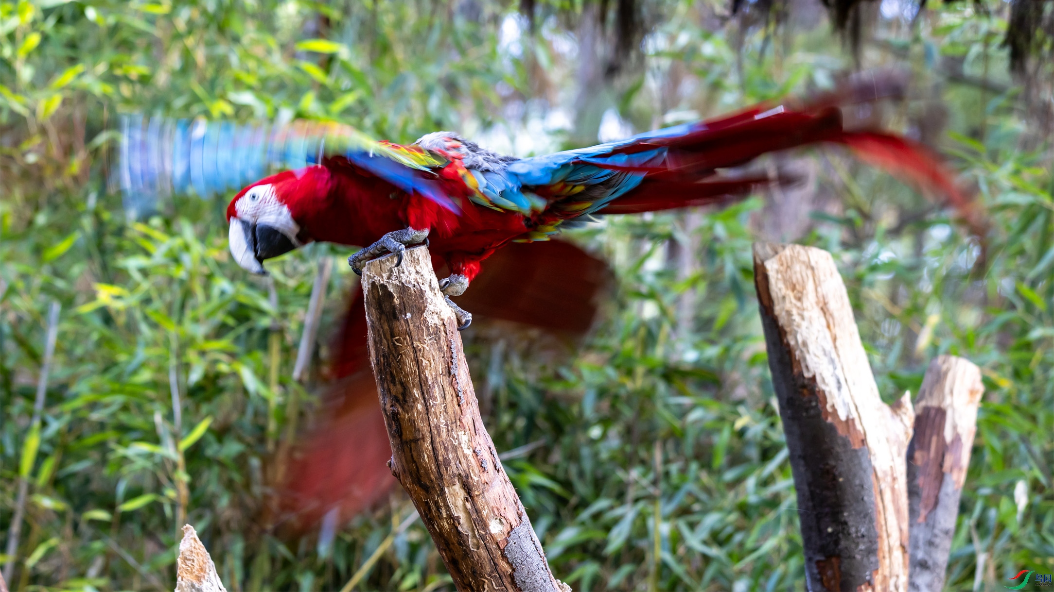 ���̽������099 ����.jpg