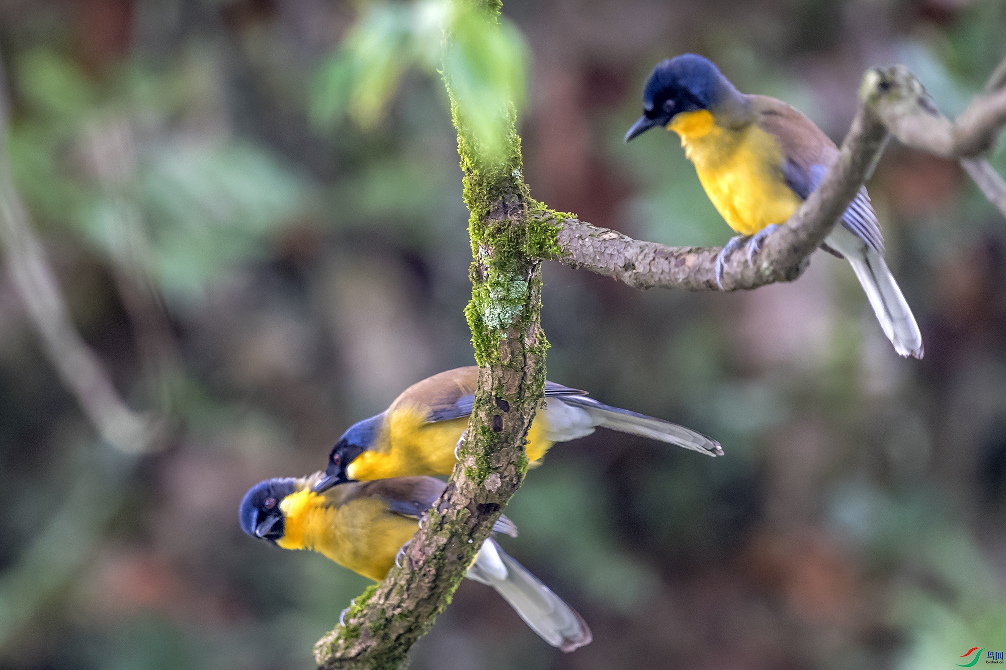 DSC_5380a.jpg