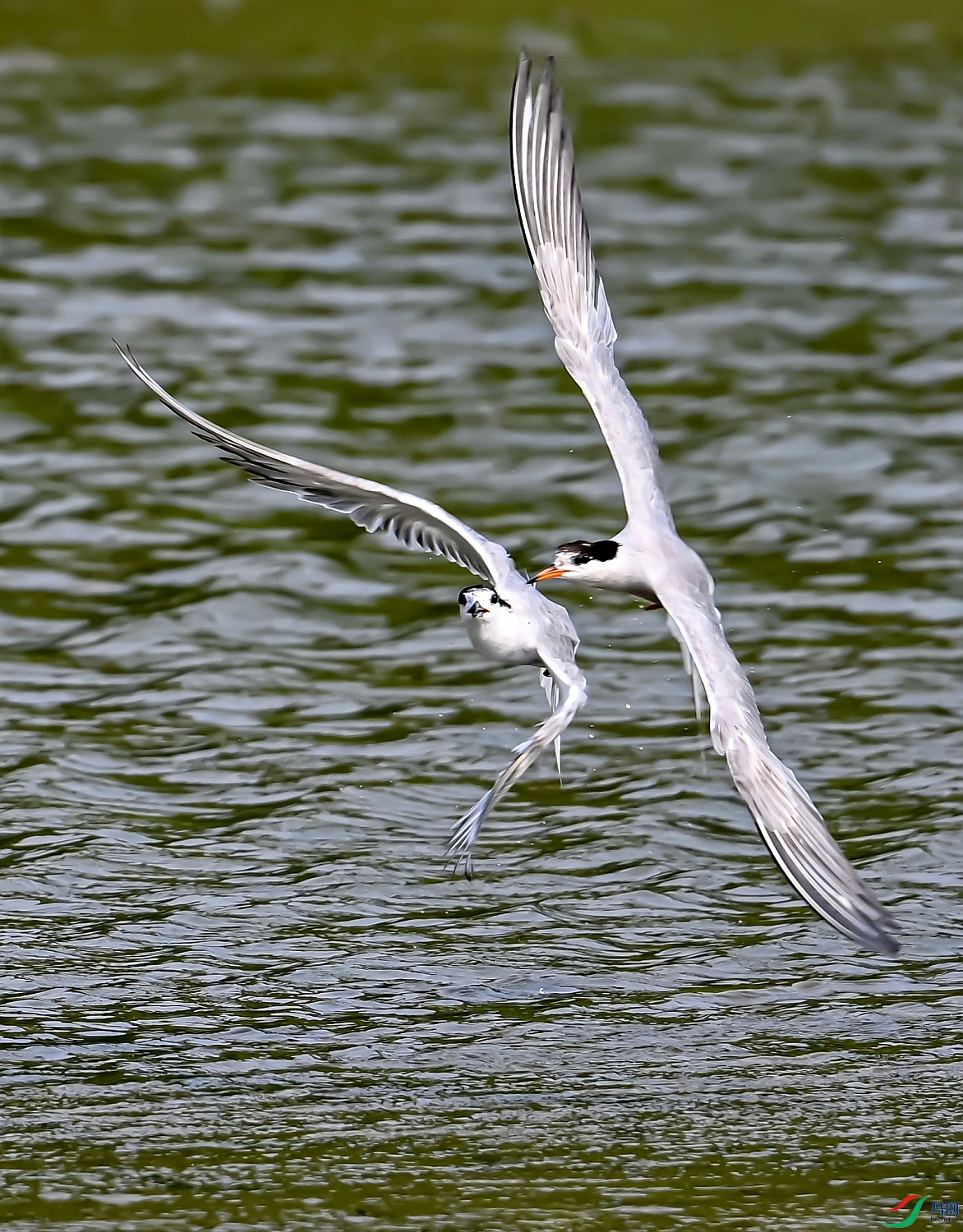 DSC_0147---_conew1.jpg