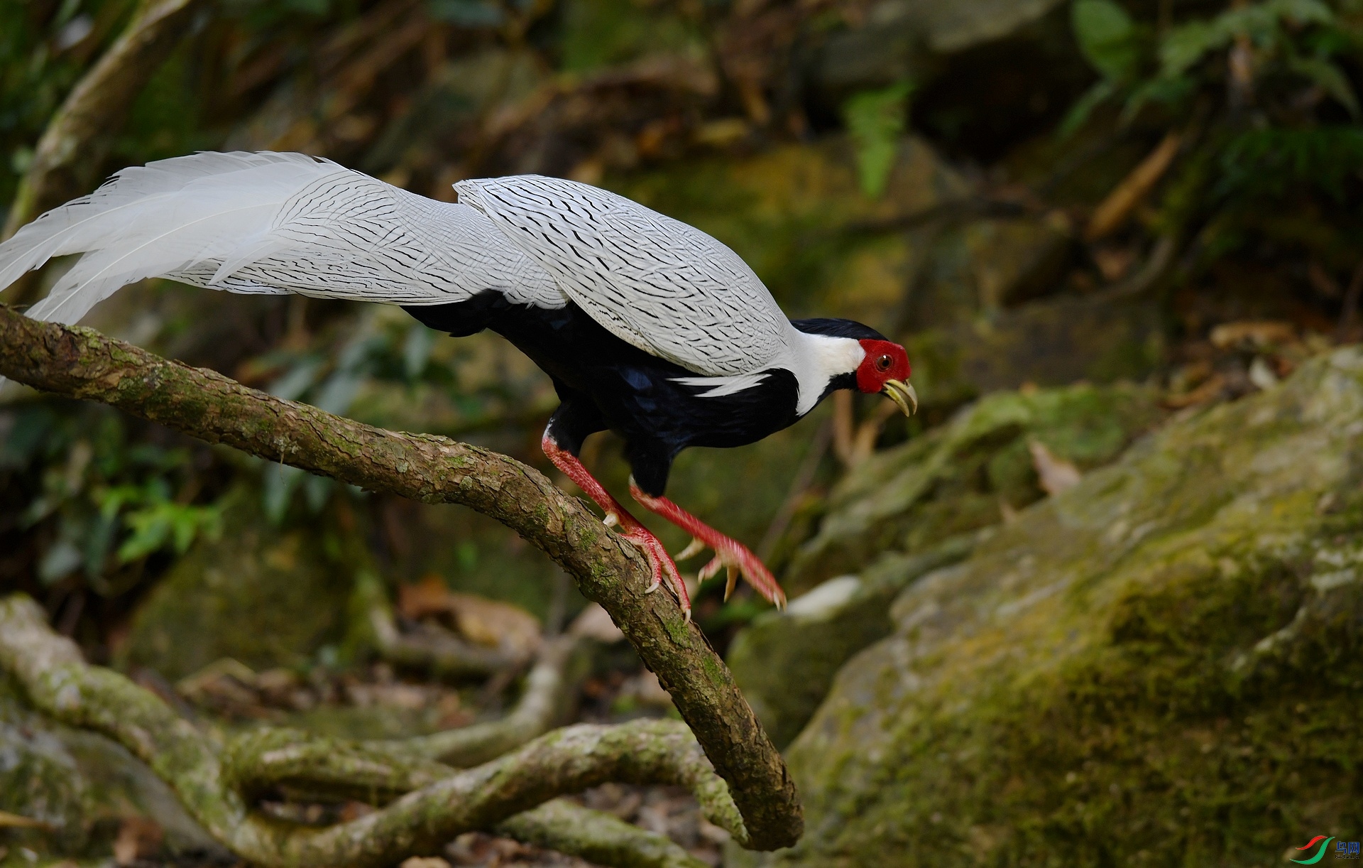 DSC_3408.jpg