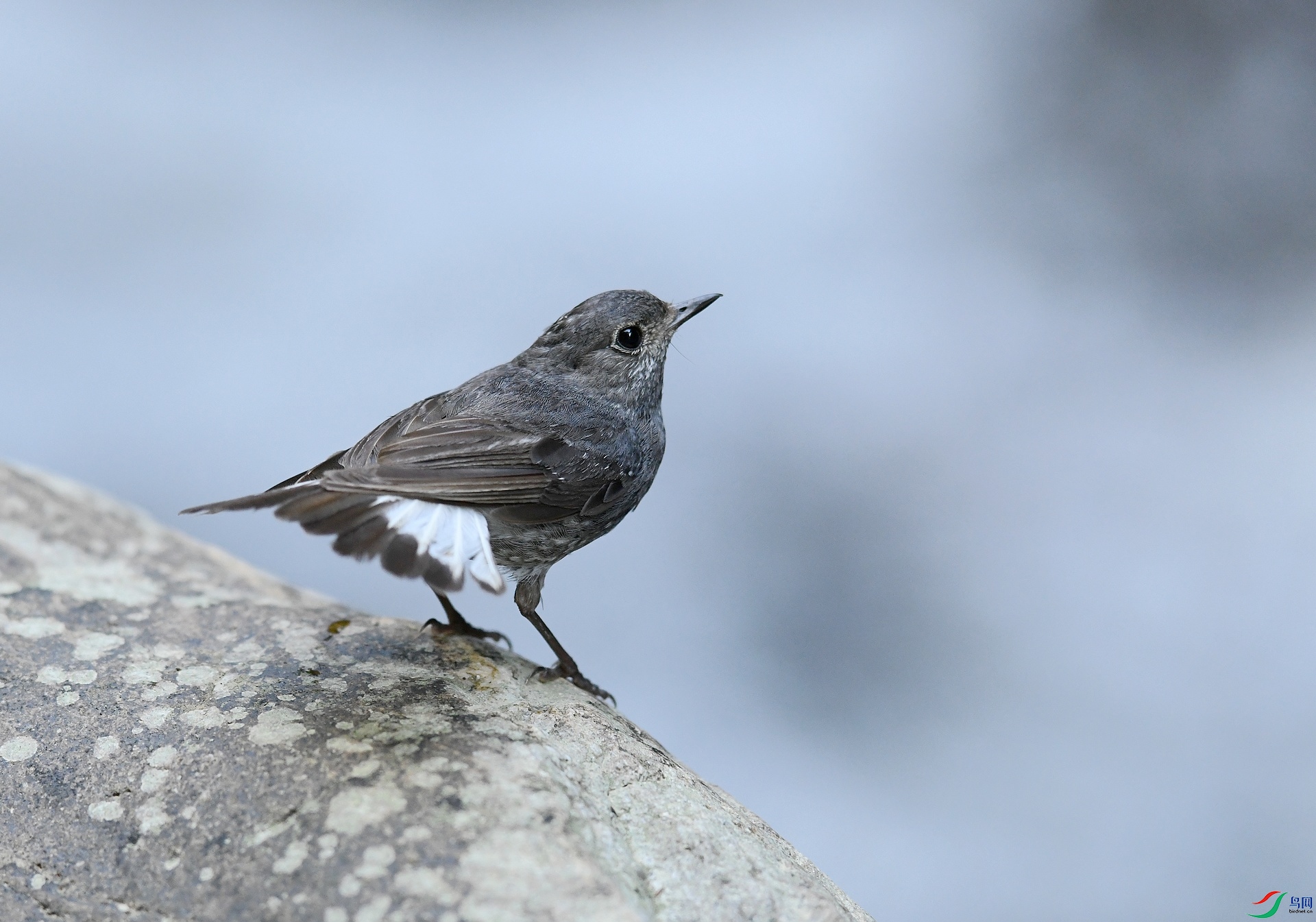DSC_4318.jpg